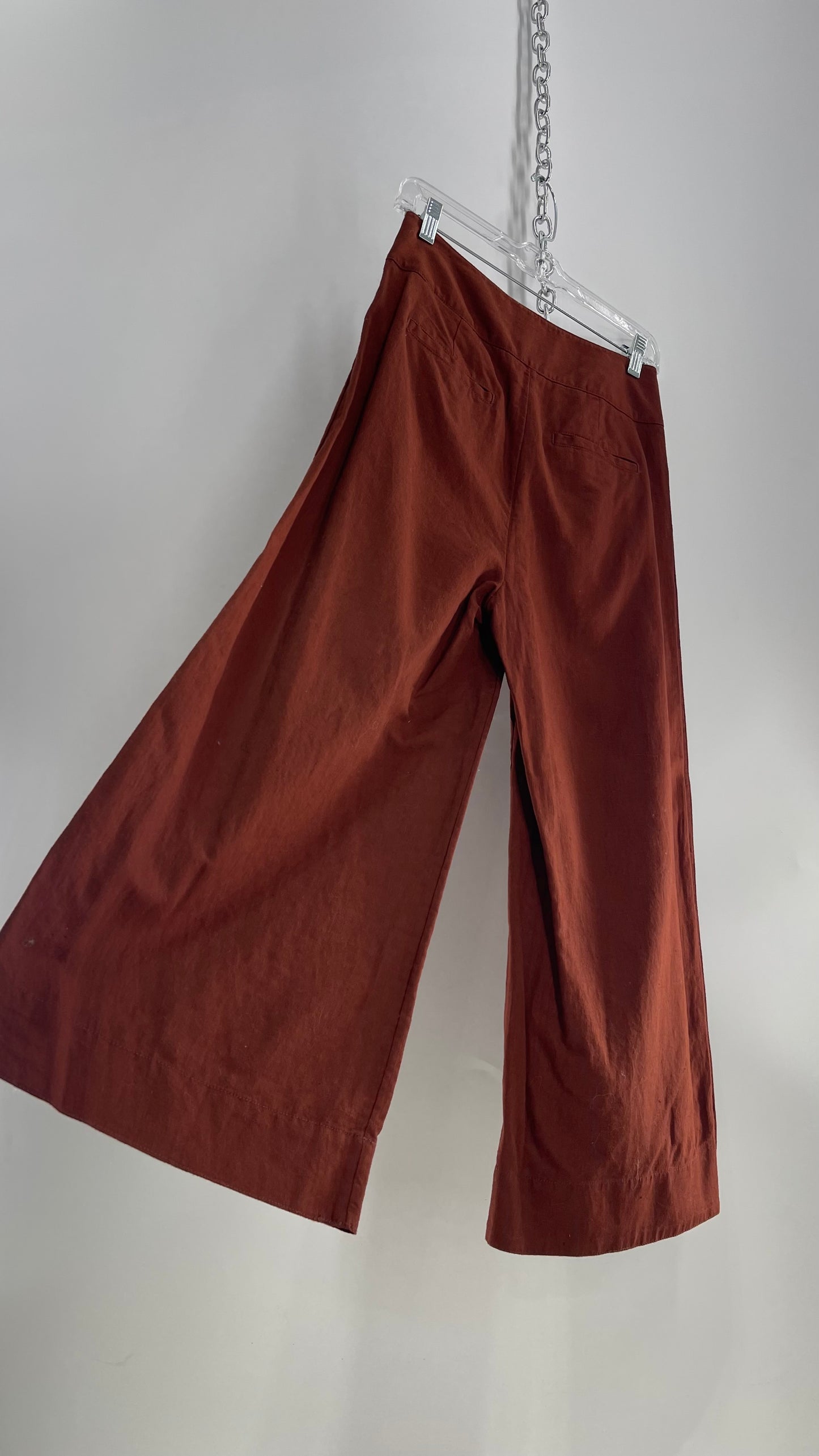 Anthropologie Brown Cotton Wide Leg Pants with Bronze Button Detailing (0)