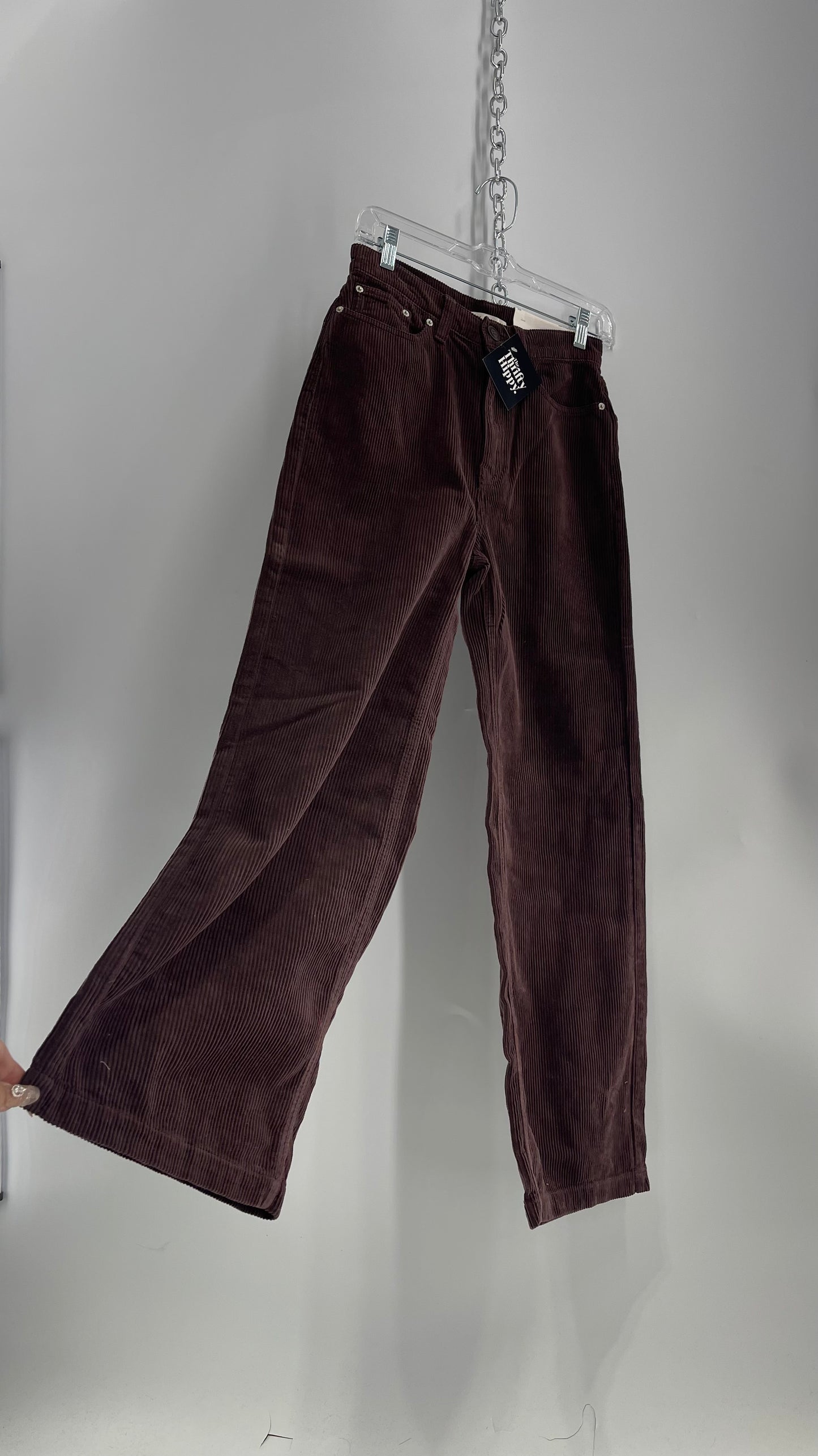 BDG High and Wide Brown Corduroy Baggy Pant with Tags Attached  (26)