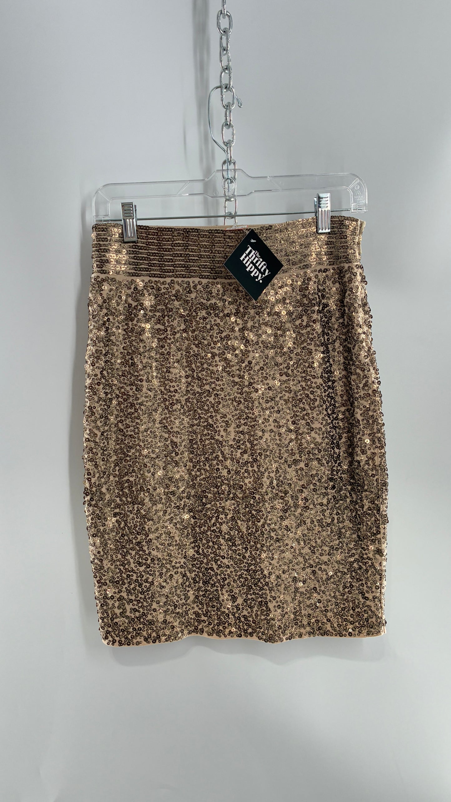 EXPRESS Sequin Bronze Skirt with Thick Band (XS)