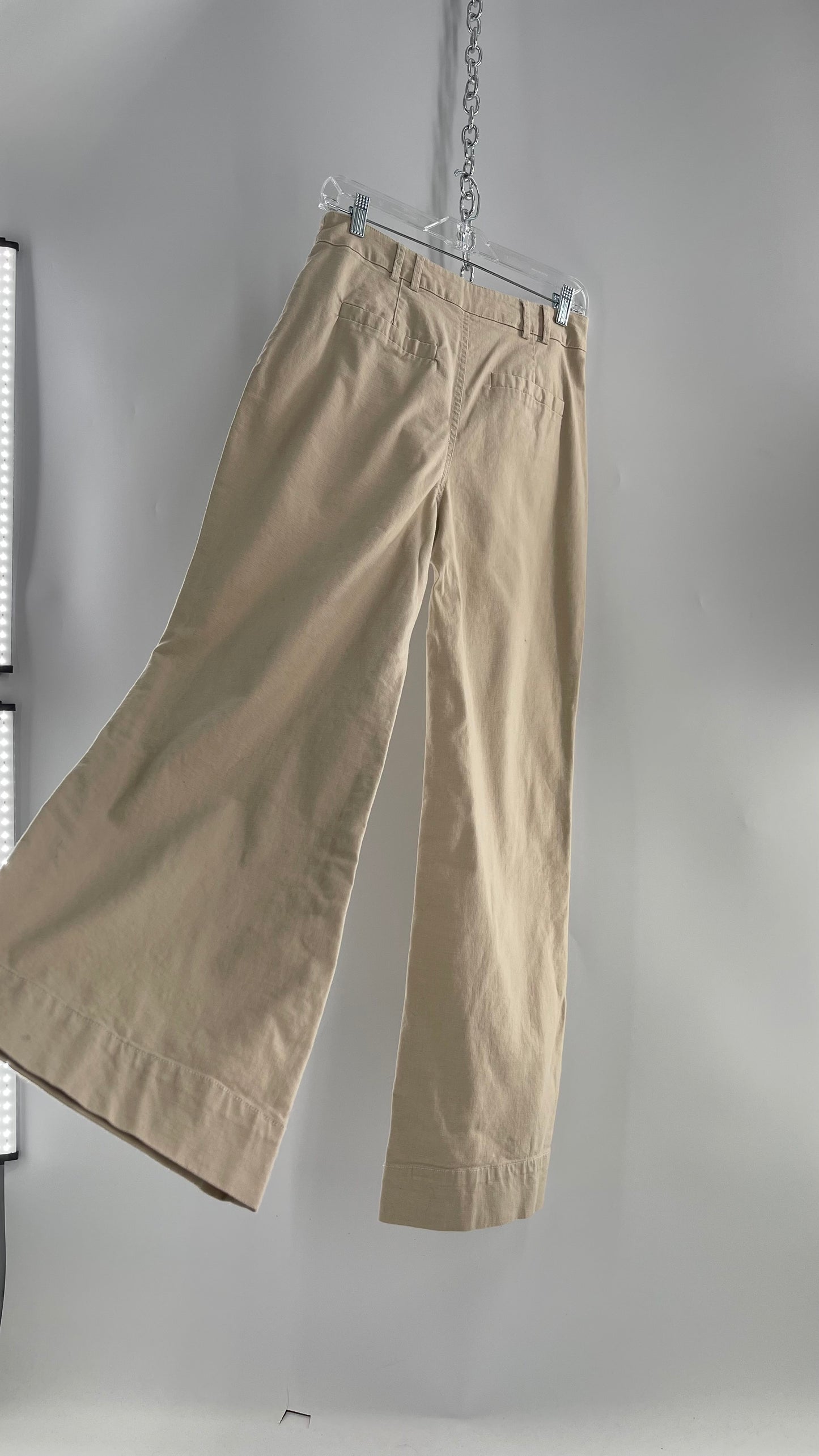 Avec Les Filles 97% Cotton Tan/Neutral Pleated Waist Trouser (S)