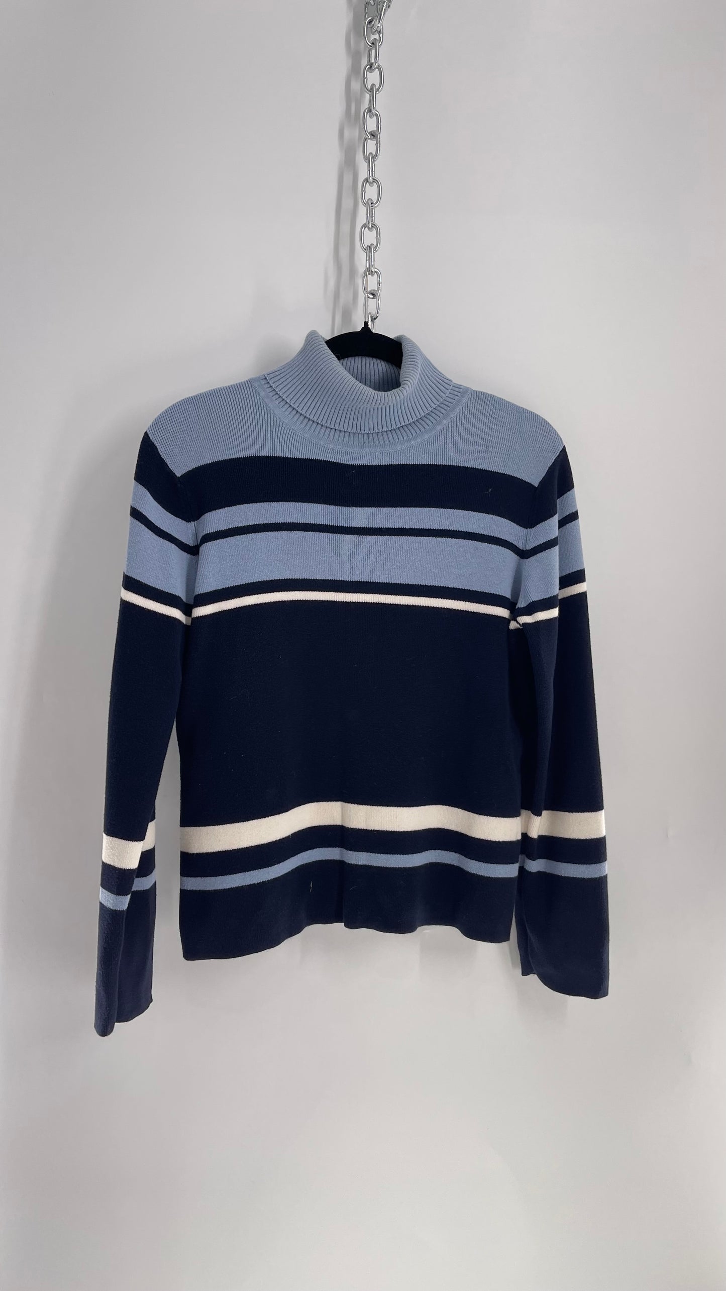 Vintage Style&Co Blue Striped Knit Turtleneck Sweater (Large)