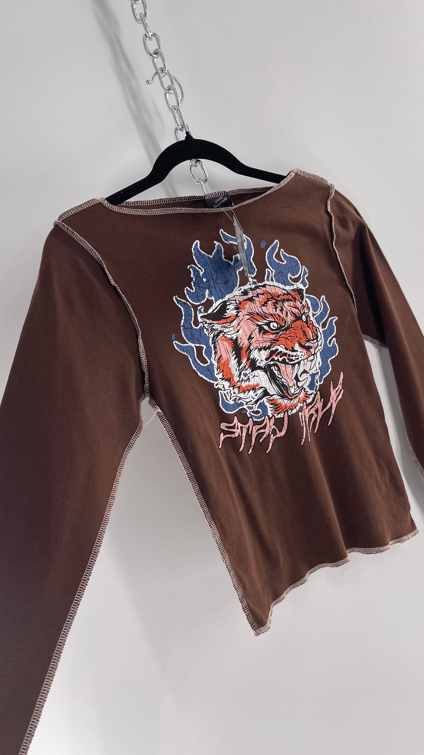 Urban Outfitters Brown Tiger Graphic Long Sleeve (Large)