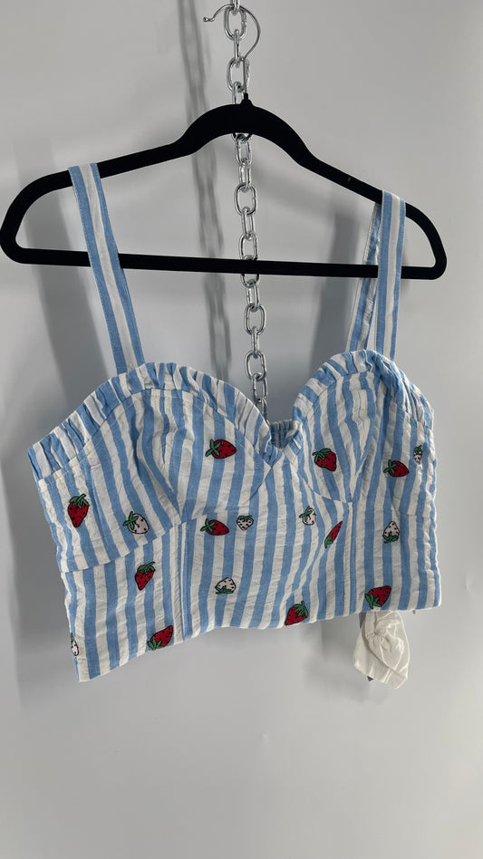 Maeve Anthropologie Baby Blue White Striped Corset Like Crop with Embroidered Strawberries (6)