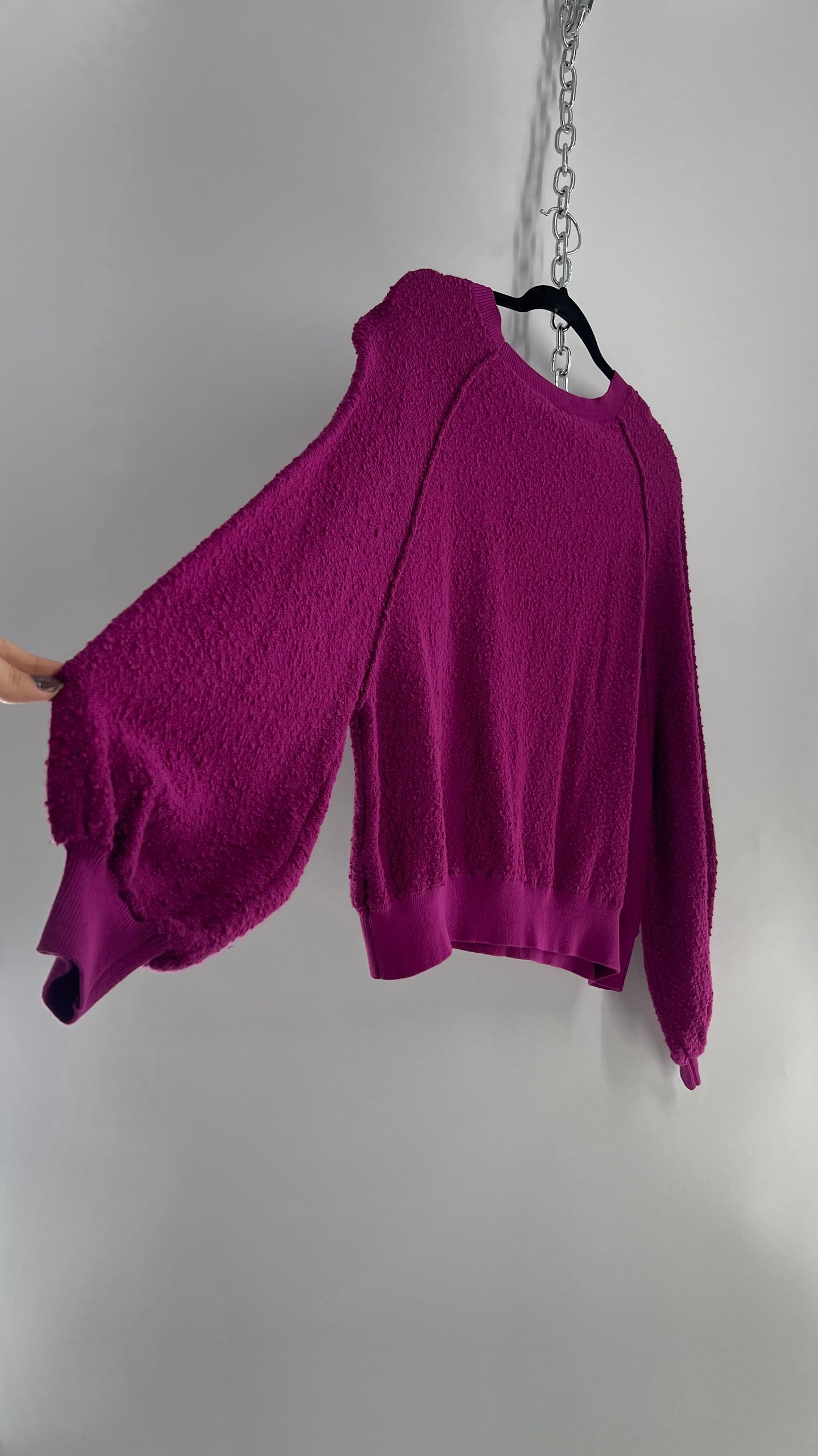 Free People Fuchsia Cropped Sweater (Size Small)