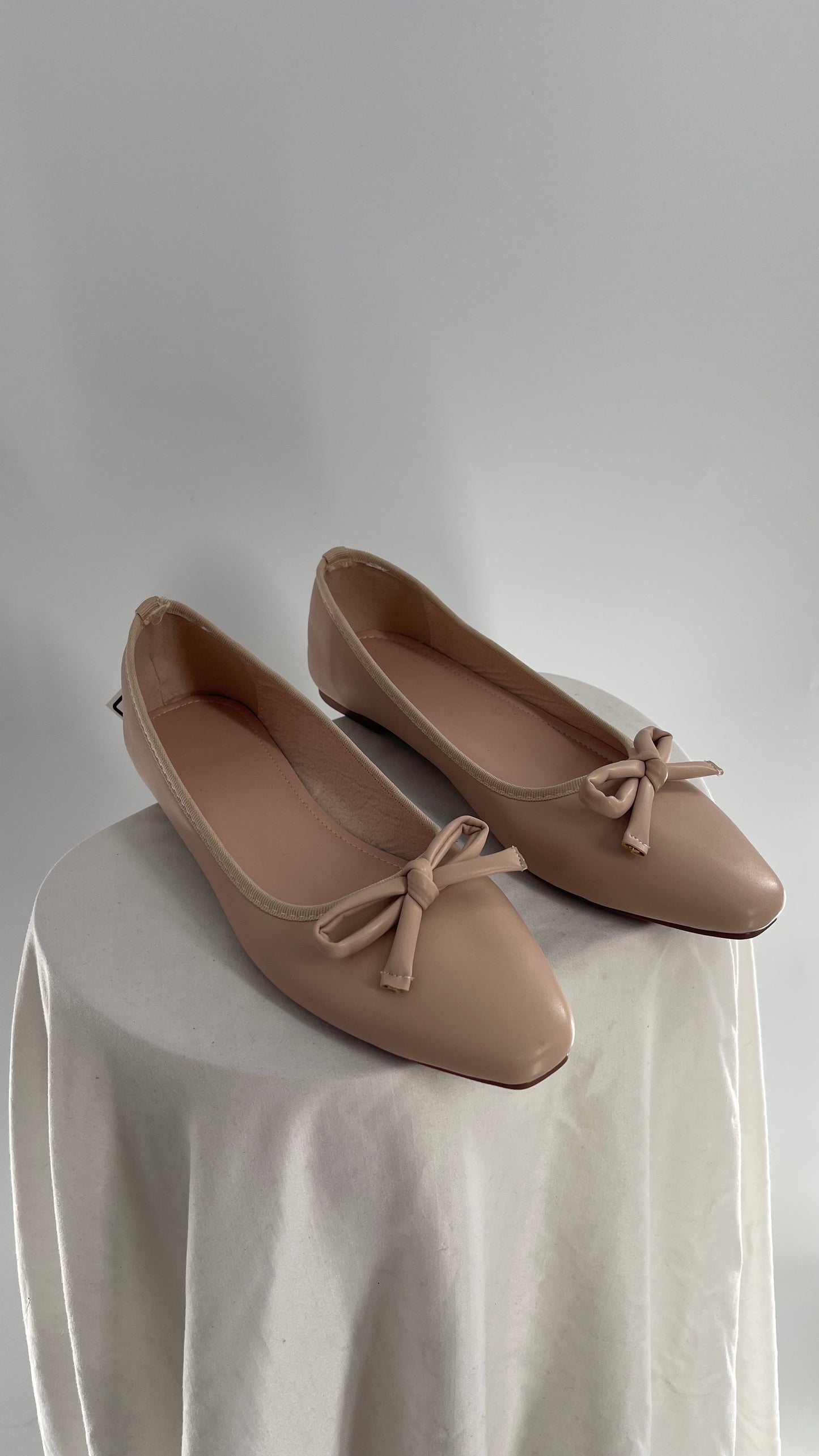 Pointed Toe Dusty Pink Ballet Flats (41)