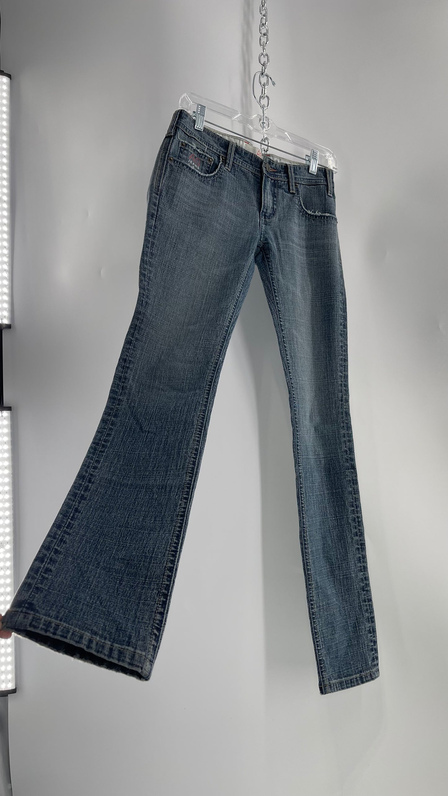 Vintage Smart AS JEANS Light Wash with Silver Metallic Female Posing Silhouette and Paulina Field Embroidery (28)