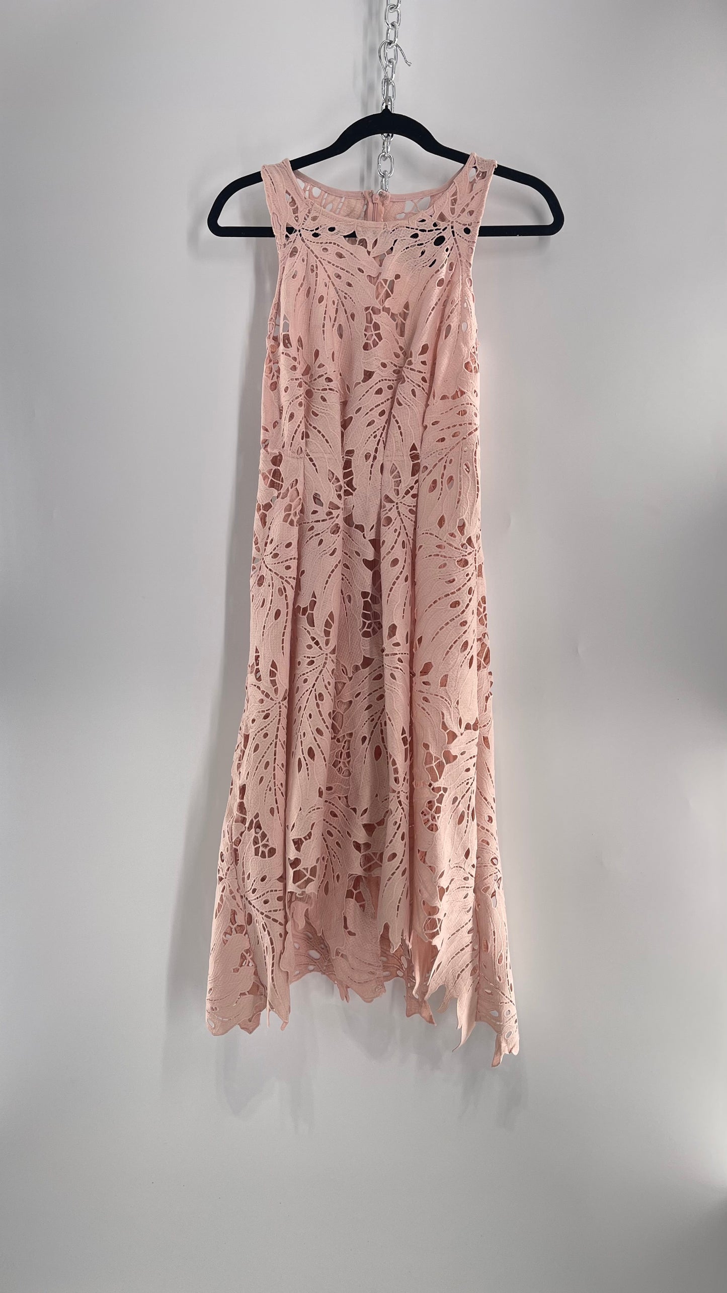 Anthropologie Eva Franco Baby Pink Completely Laser Cut Lace Palm Leaf Knee High Dress (2)