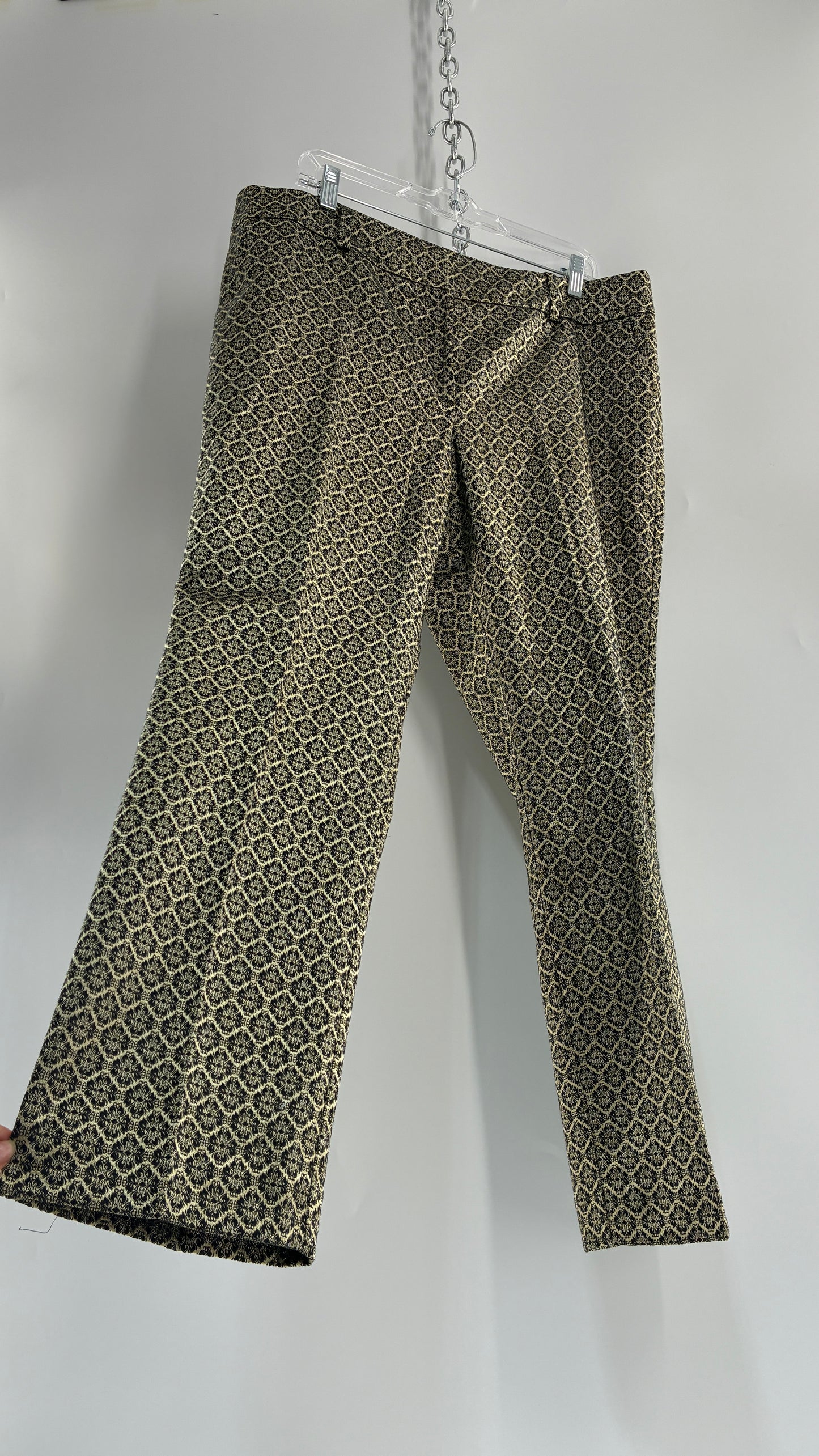 ANNE TAYLOR Signature Woven Pleated Trouser  (14)