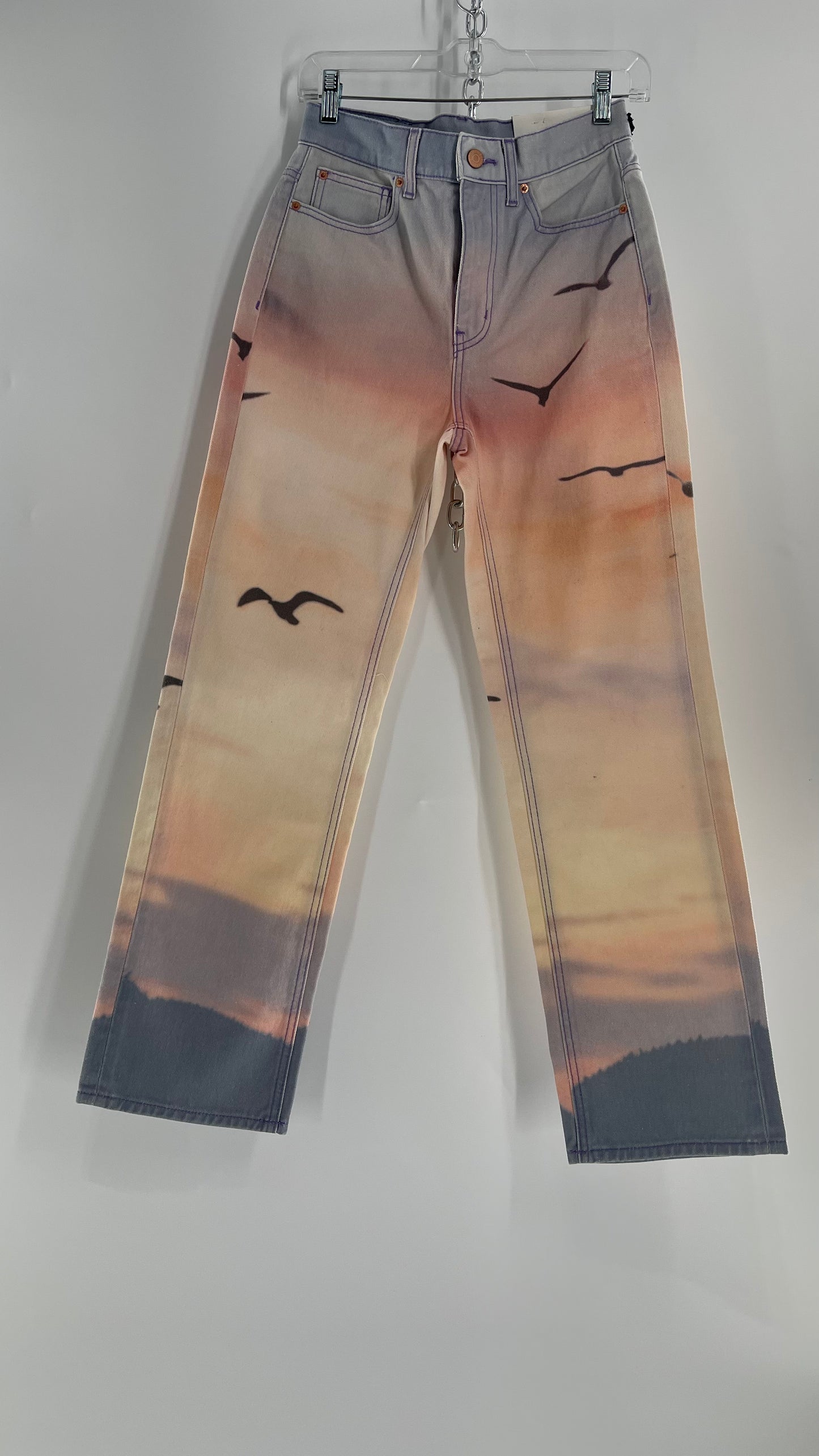 BDG Urban Outfitters Lilac Pink Horizon Line, Skyline Graphic Jeans (26)