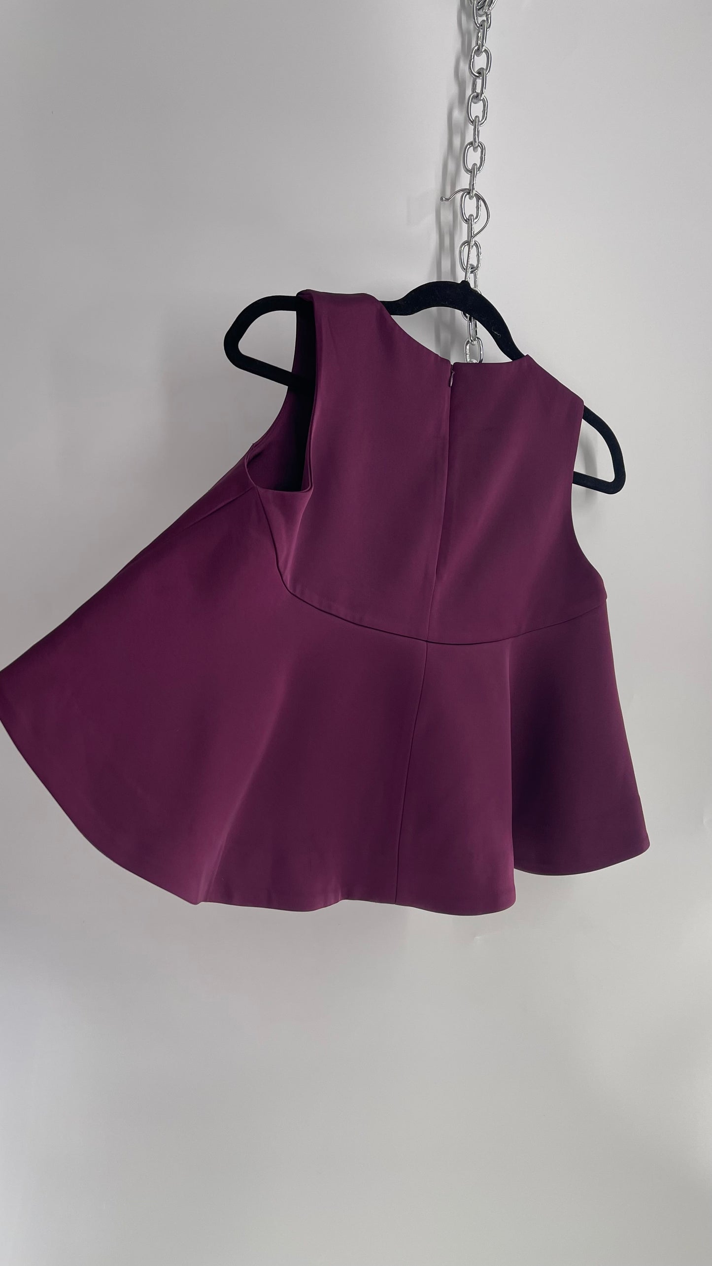 Cameo Anthropologie Plum Purple High Low Thick Top(Small)