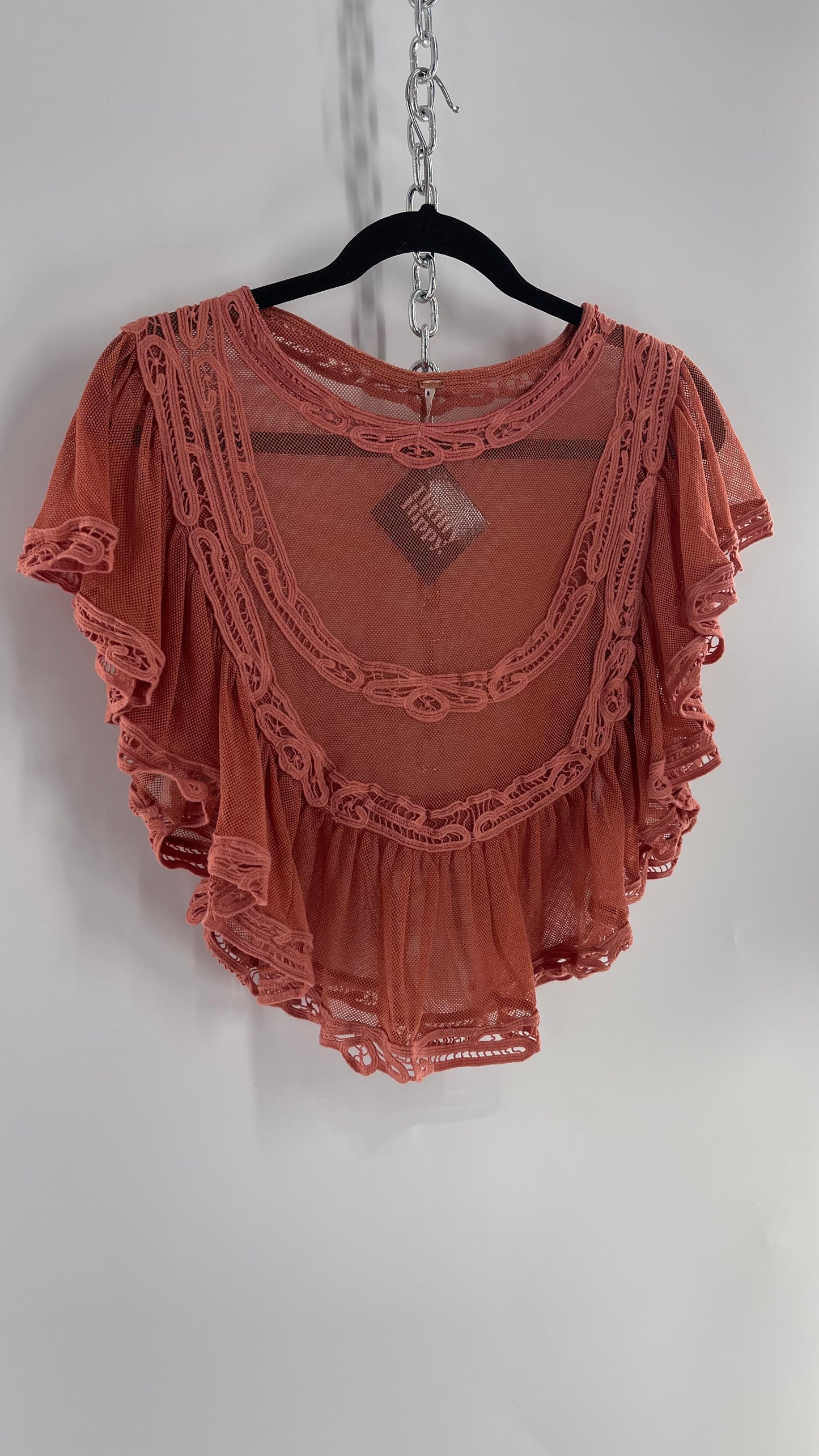 Free People I’m Pretty Okay Blush Pink Mesh Blouse with Ruffled Lace (Small)