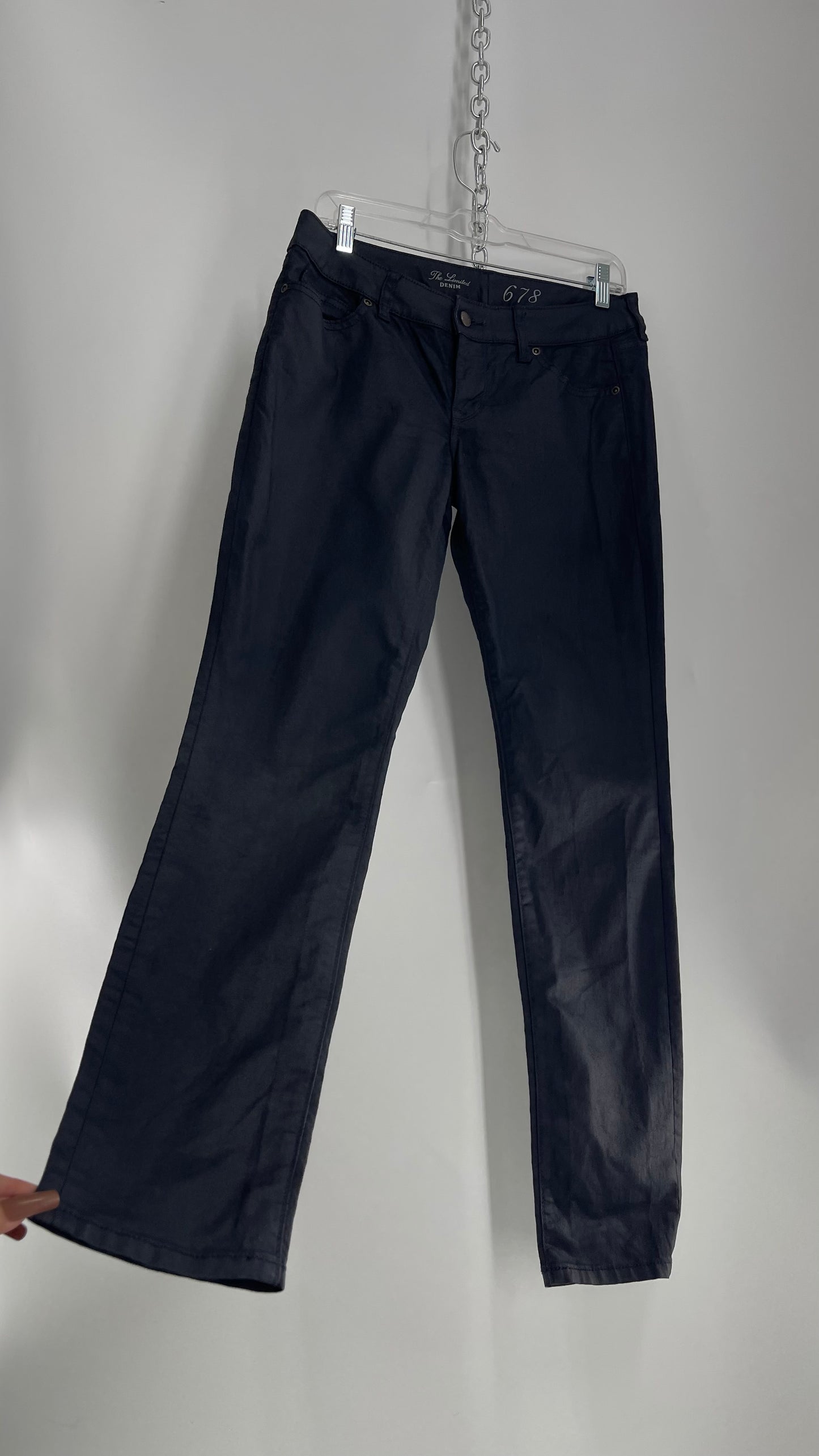 The Limited Blue/Black Metallic Jeans (6)