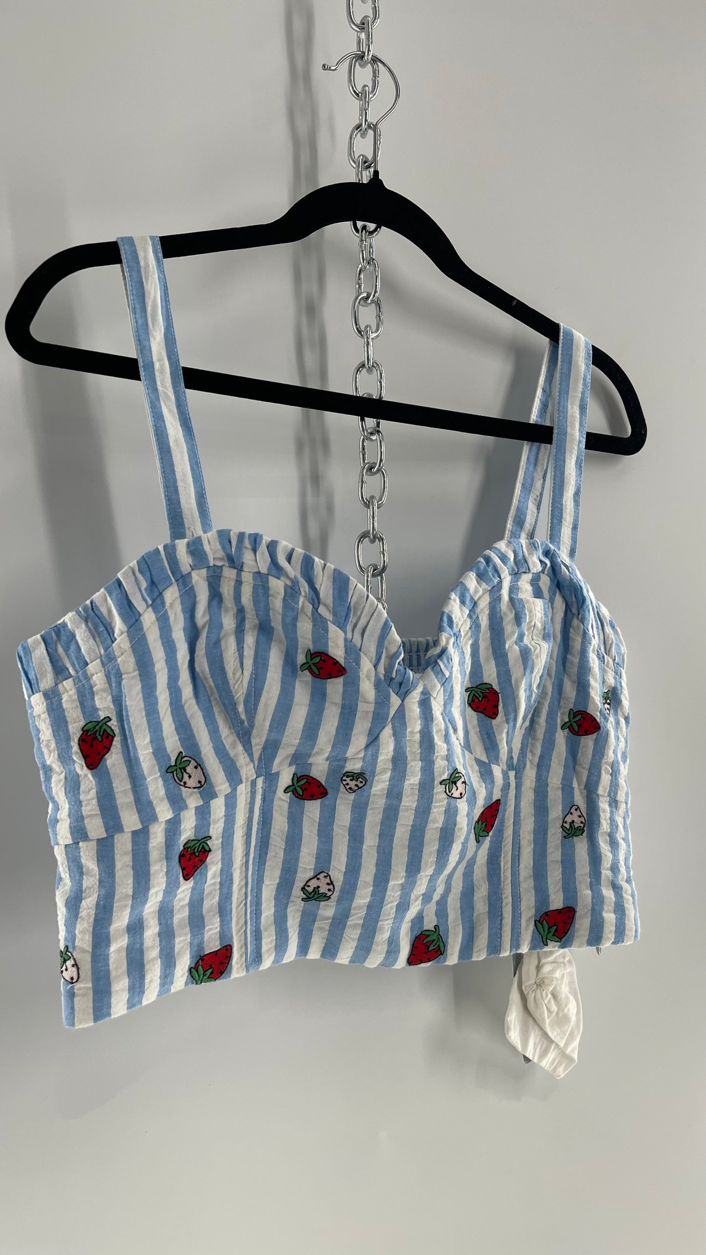 Maeve Anthropologie Baby Blue White Striped Corset Like Crop with Embroidered Strawberries with Tags Attached (12)