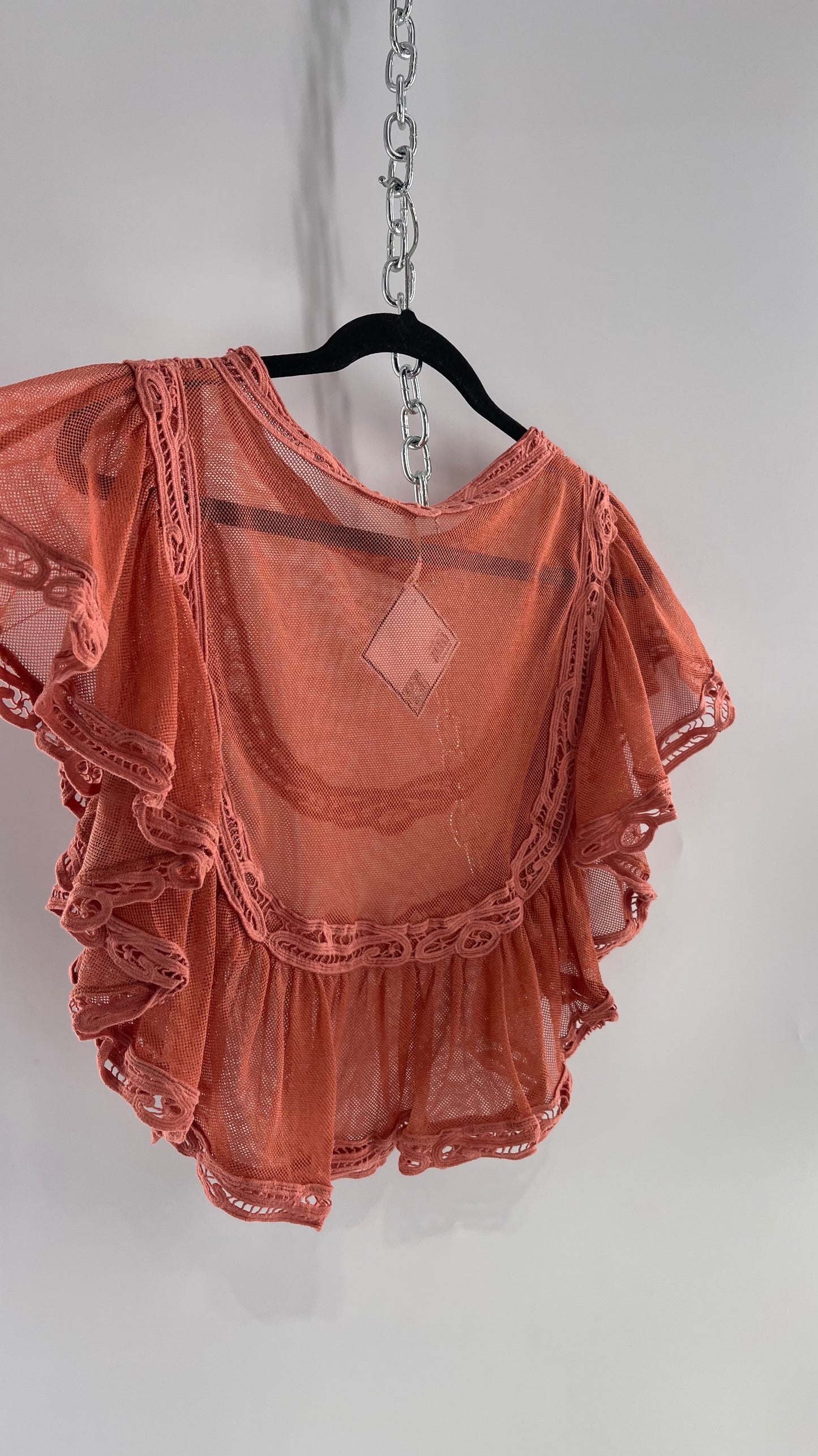 Free People I’m Pretty Okay Blush Pink Mesh Blouse with Ruffled Lace (Small)