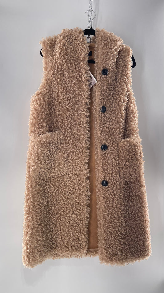 Anthropologie Norla Canada (M/L)
