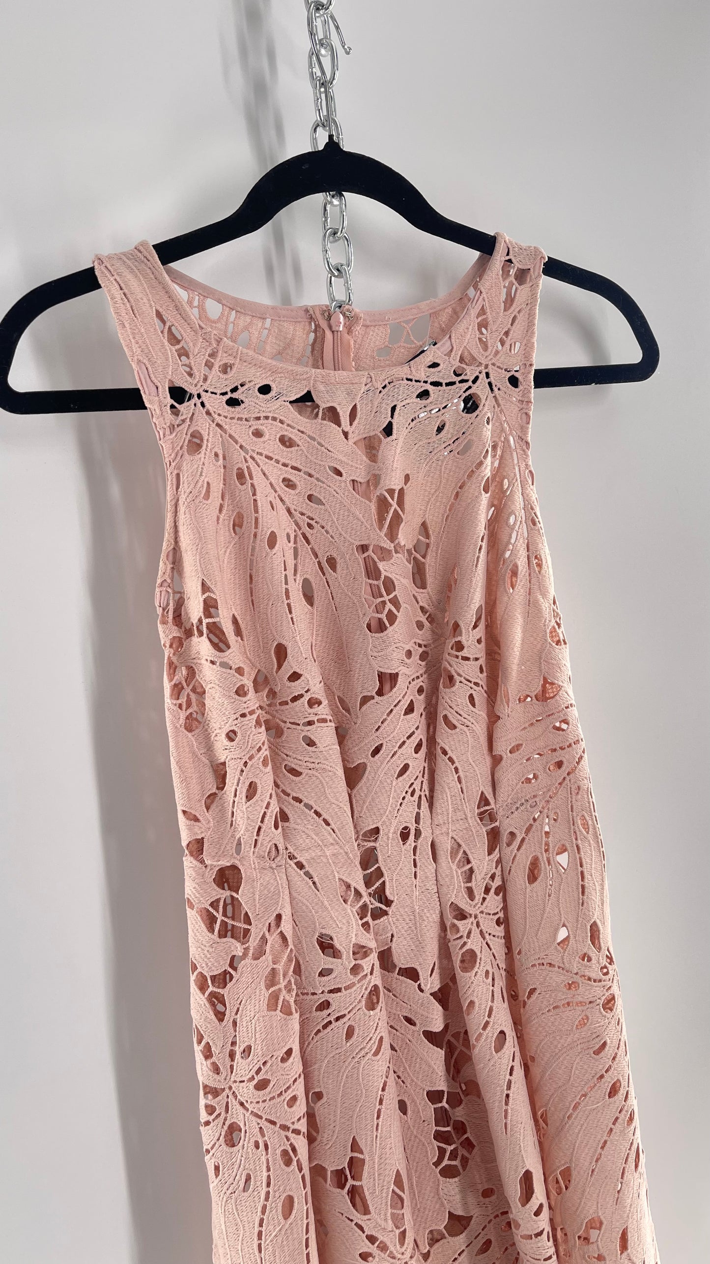 Anthropologie Eva Franco Baby Pink Completely Laser Cut Lace Palm Leaf Knee High Dress (2)