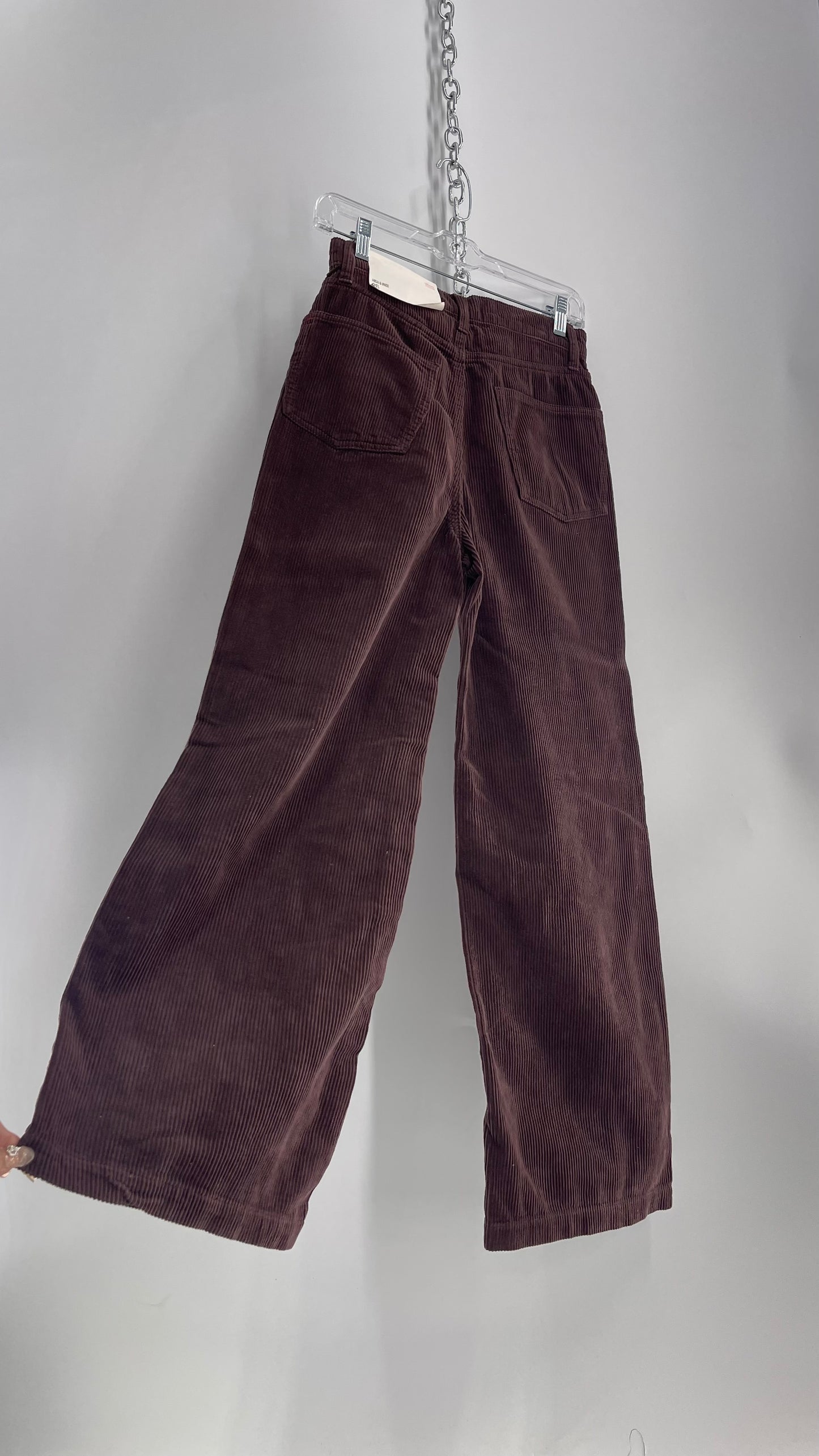 BDG High and Wide Brown Corduroy Baggy Pant with Tags Attached  (26)