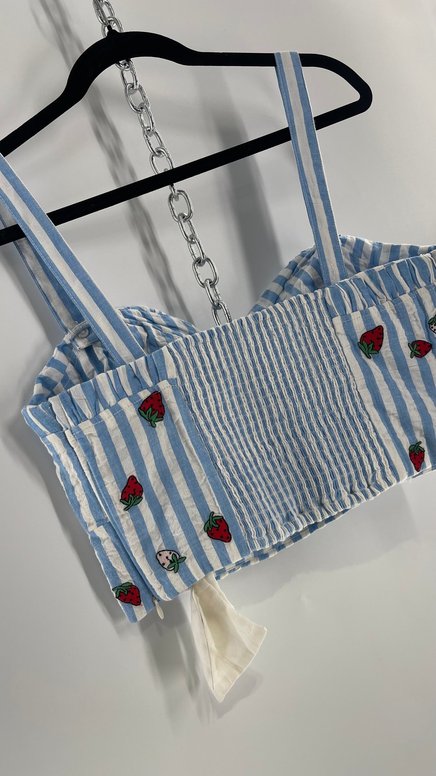 Maeve Anthropologie Baby Blue White Striped Corset Like Crop with Embroidered Strawberries with Tags Attached (12)