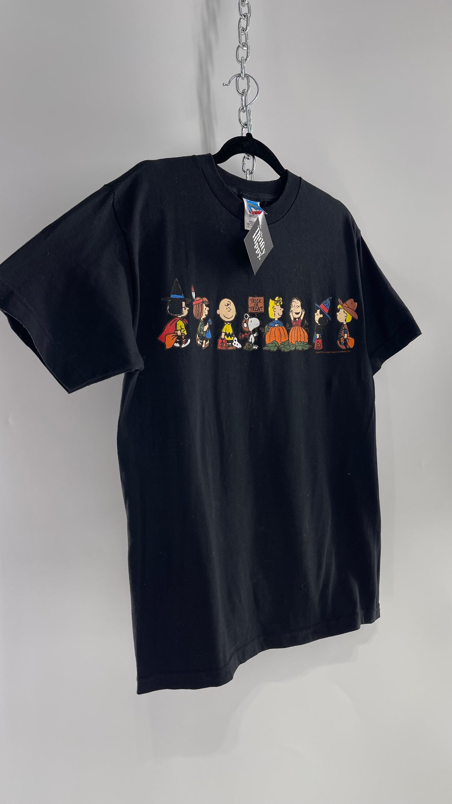 Vintage Rare Peanuts Charlie Brown Snoopie Halloween/Fall T Shirt (Medium)