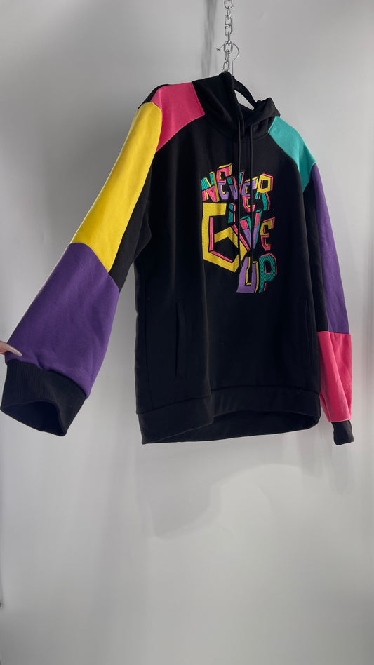 Switch Remarkable 80s Color Block Embroidered Hoodie with Tags (XXXL)