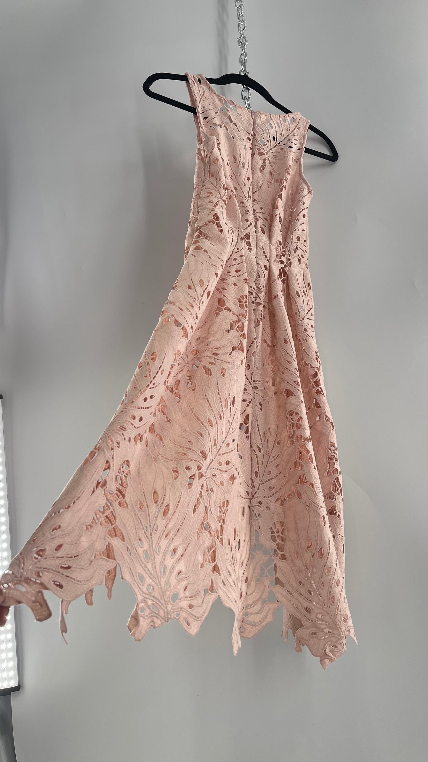 Anthropologie Eva Franco Baby Pink Completely Laser Cut Lace Palm Leaf Knee High Dress (2)