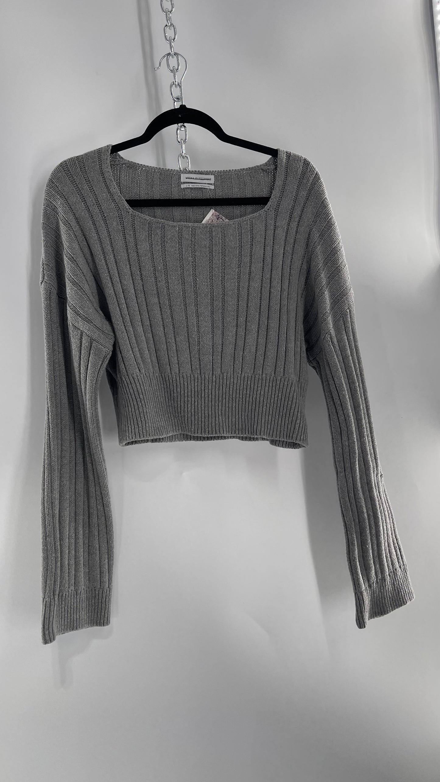 Urban Outfitters Grey Knit Ribbed Cropped Sweater (L)