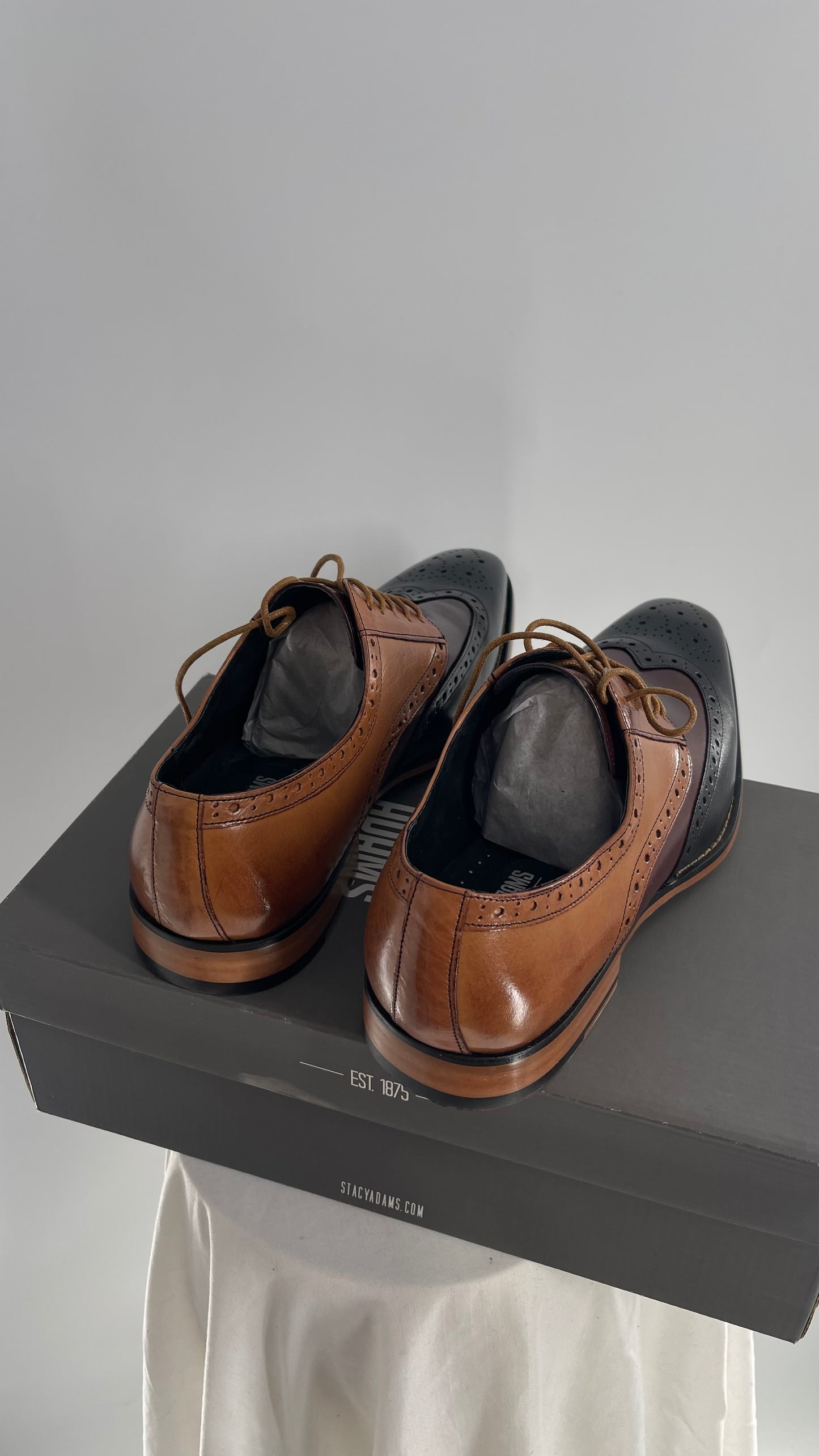 STACY ADAMS Patent Leather Tri-Toned Oxfords (11)