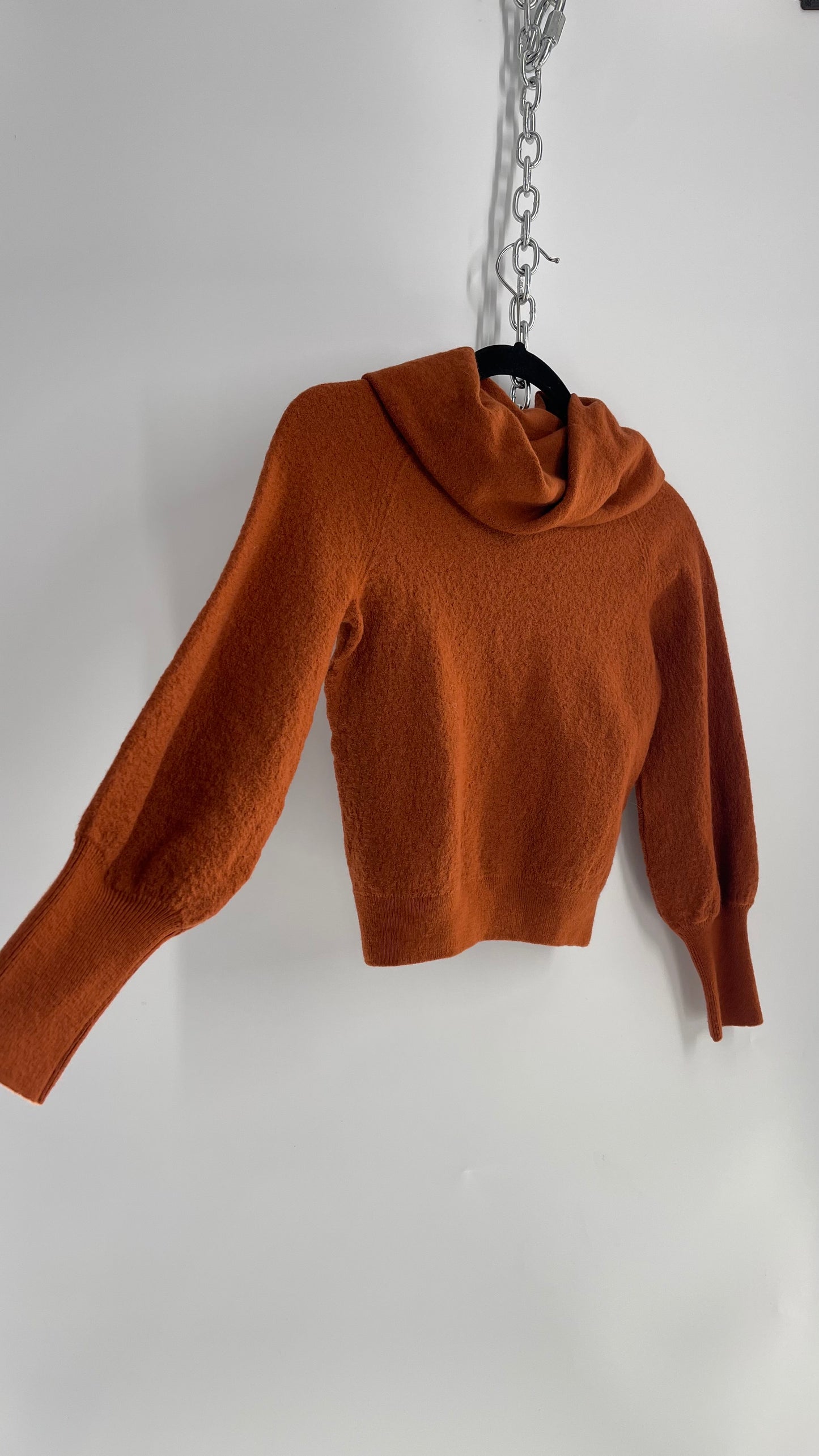 Anthropologie Burnt Orange 100% Merino Wool  (Small)