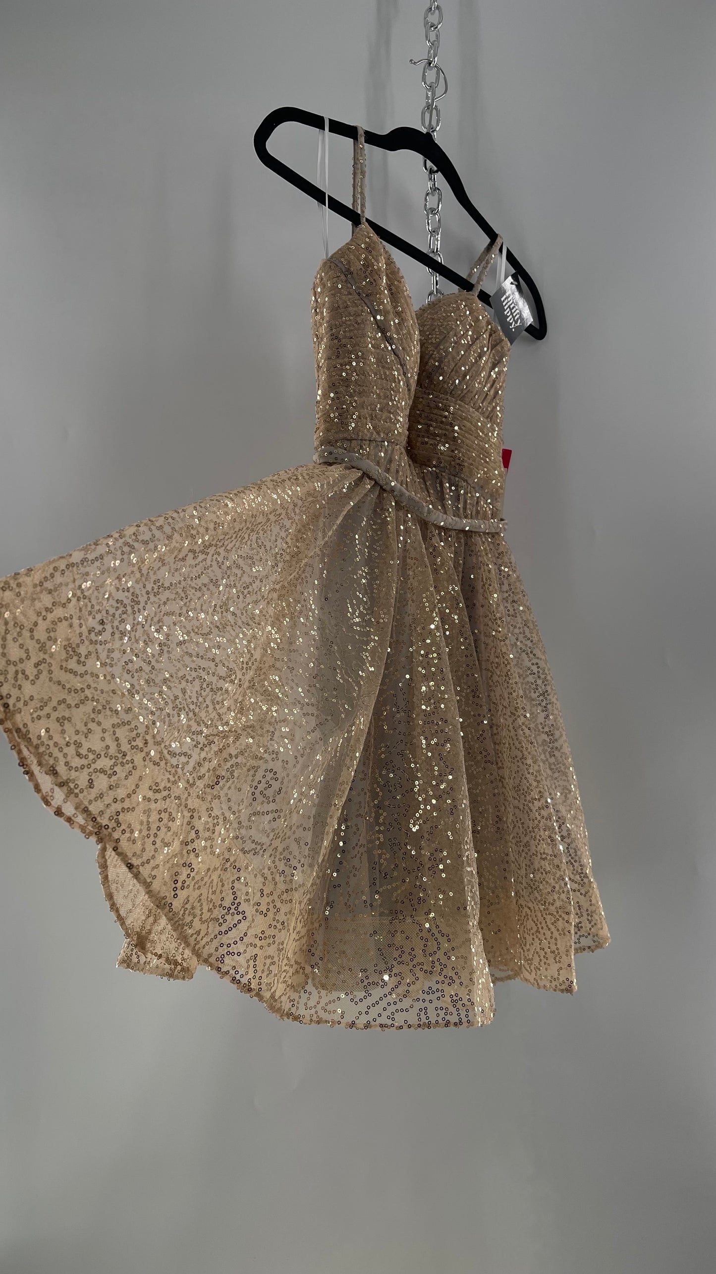 Terani Couture 1922H0420 Sleeveless Gold Sequin Tutu Dress with Ruched Corset Body (0)