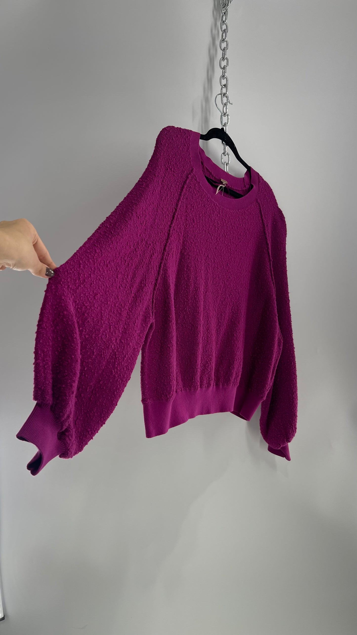 Free People Fuchsia Cropped Sweater (Size Small)