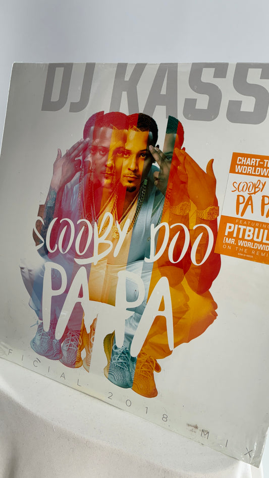 Scooby Doo PaPa Vinyl