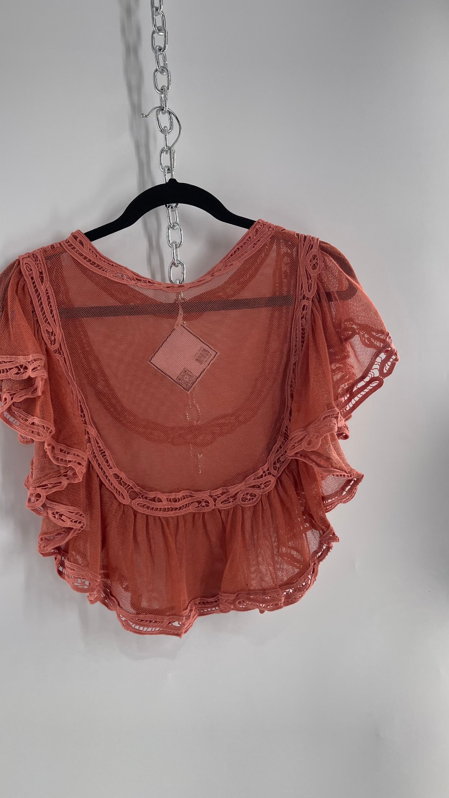 Free People I’m Pretty Okay Blush Pink Mesh Blouse with Ruffled Lace (Small)