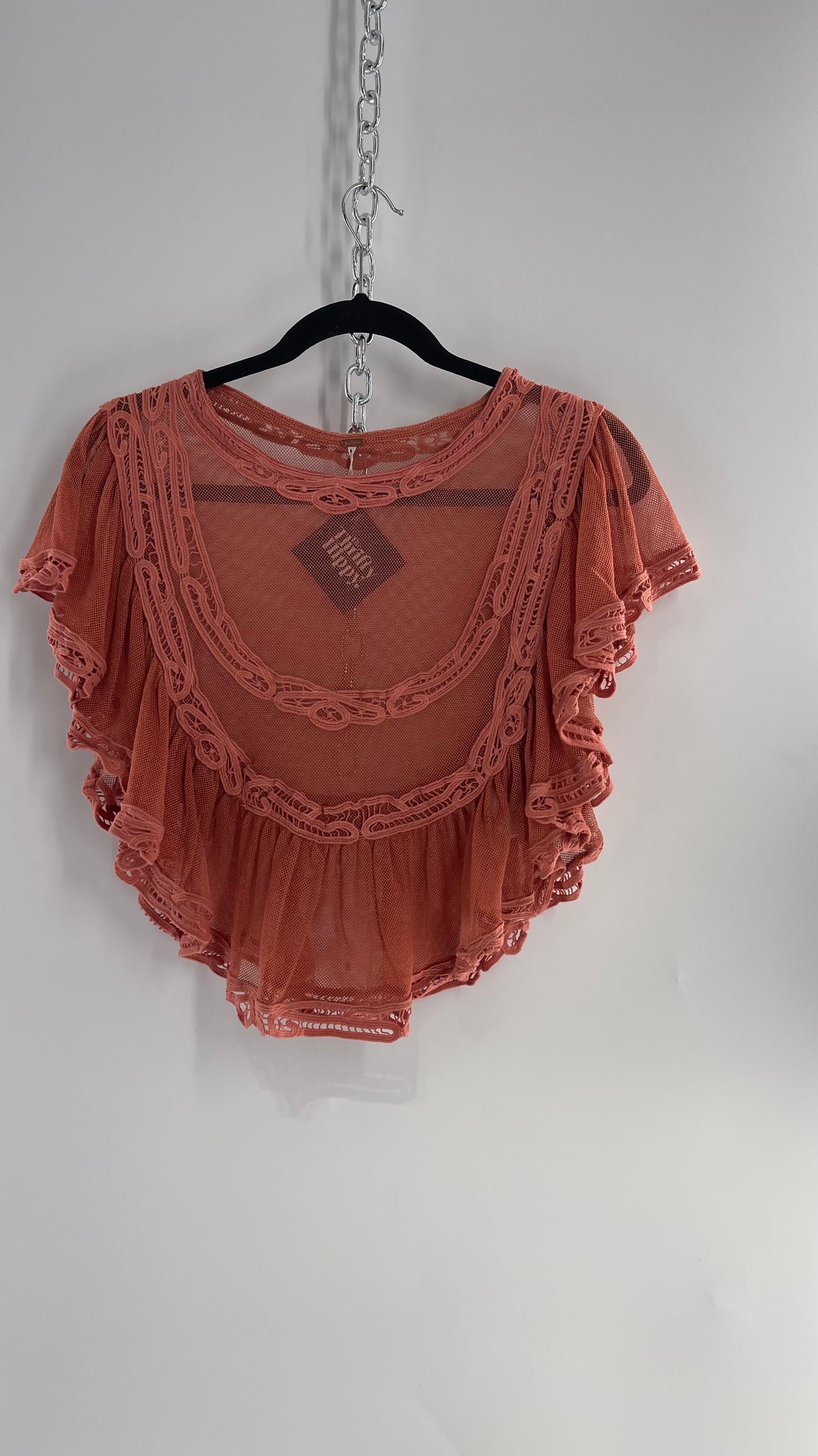 Free People I’m Pretty Okay Blush Pink Mesh Blouse with Ruffled Lace (Small)