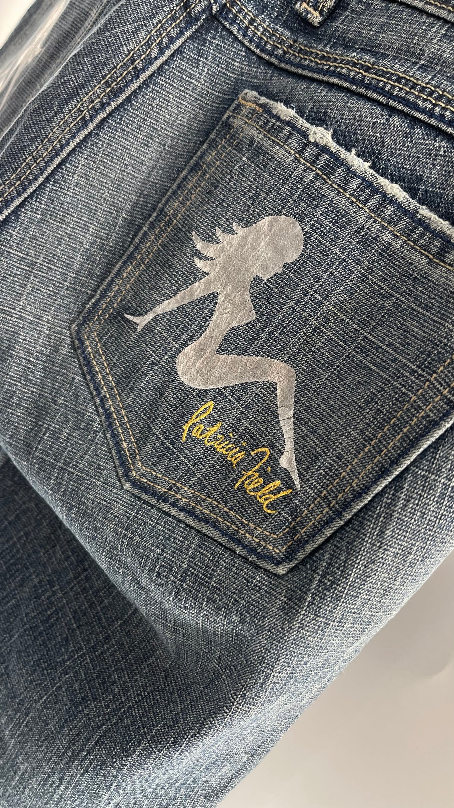Vintage Smart AS JEANS Light Wash with Silver Metallic Female Posing Silhouette and Paulina Field Embroidery (28)