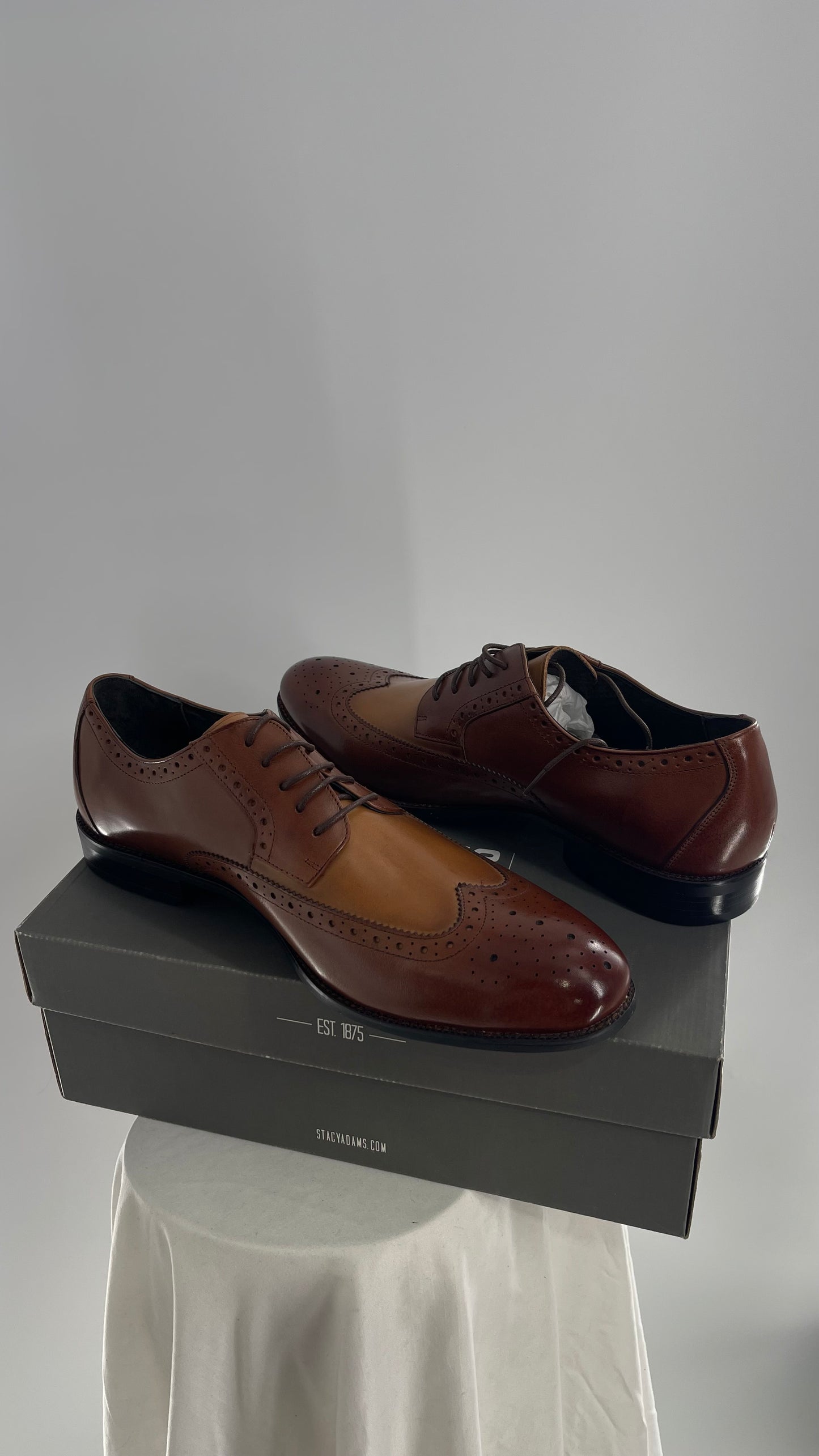 STACY ADAMS Brown and Tan Patent Leather Oxfords (13)