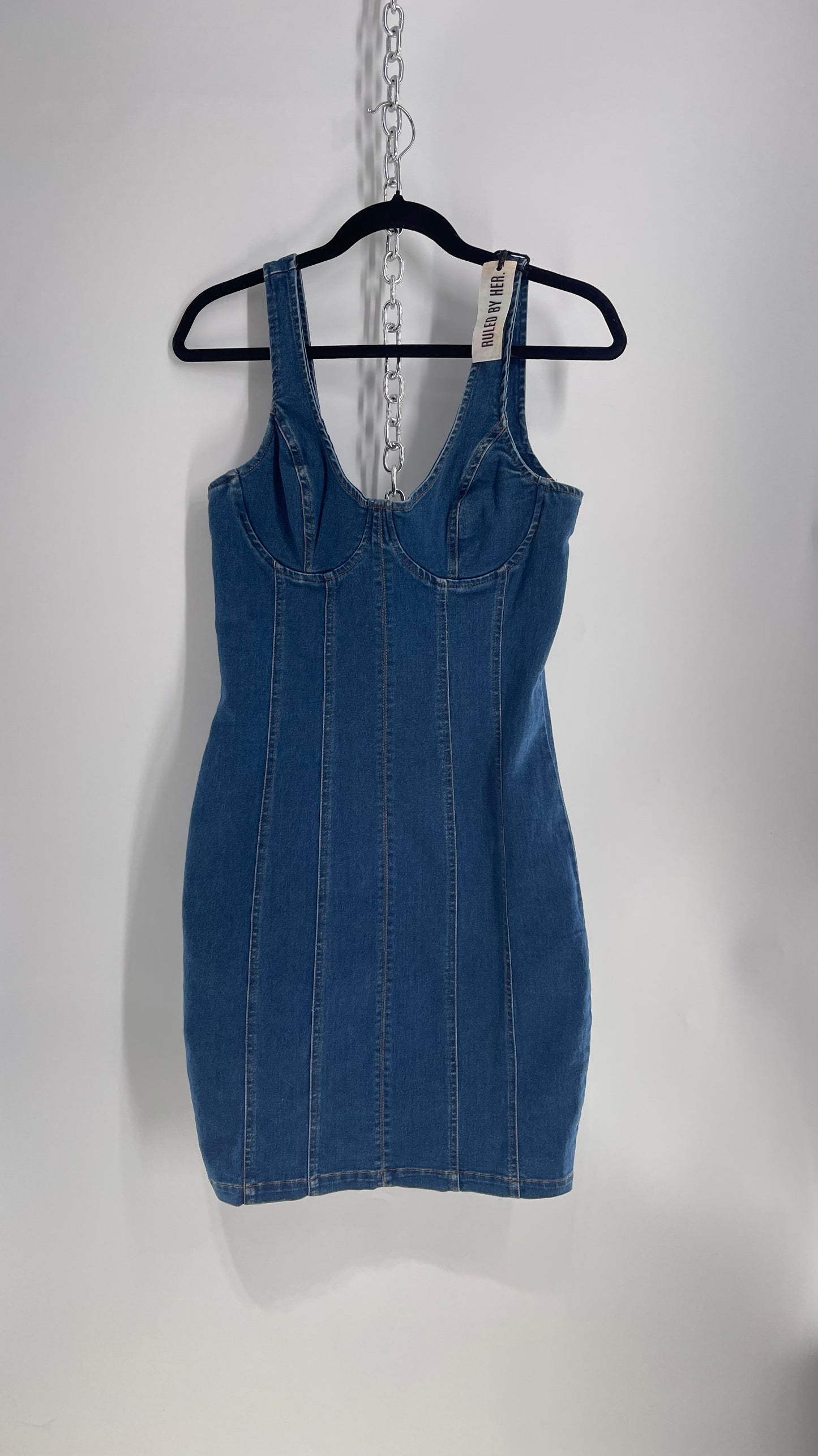 Ruled by Her Denim Body Con Dress with Tags Attached (Medium)