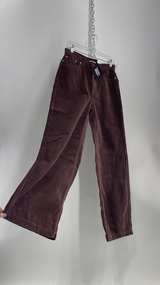 BDG High and Wide Brown Corduroy Baggy Pant with Tags Attached  (26)