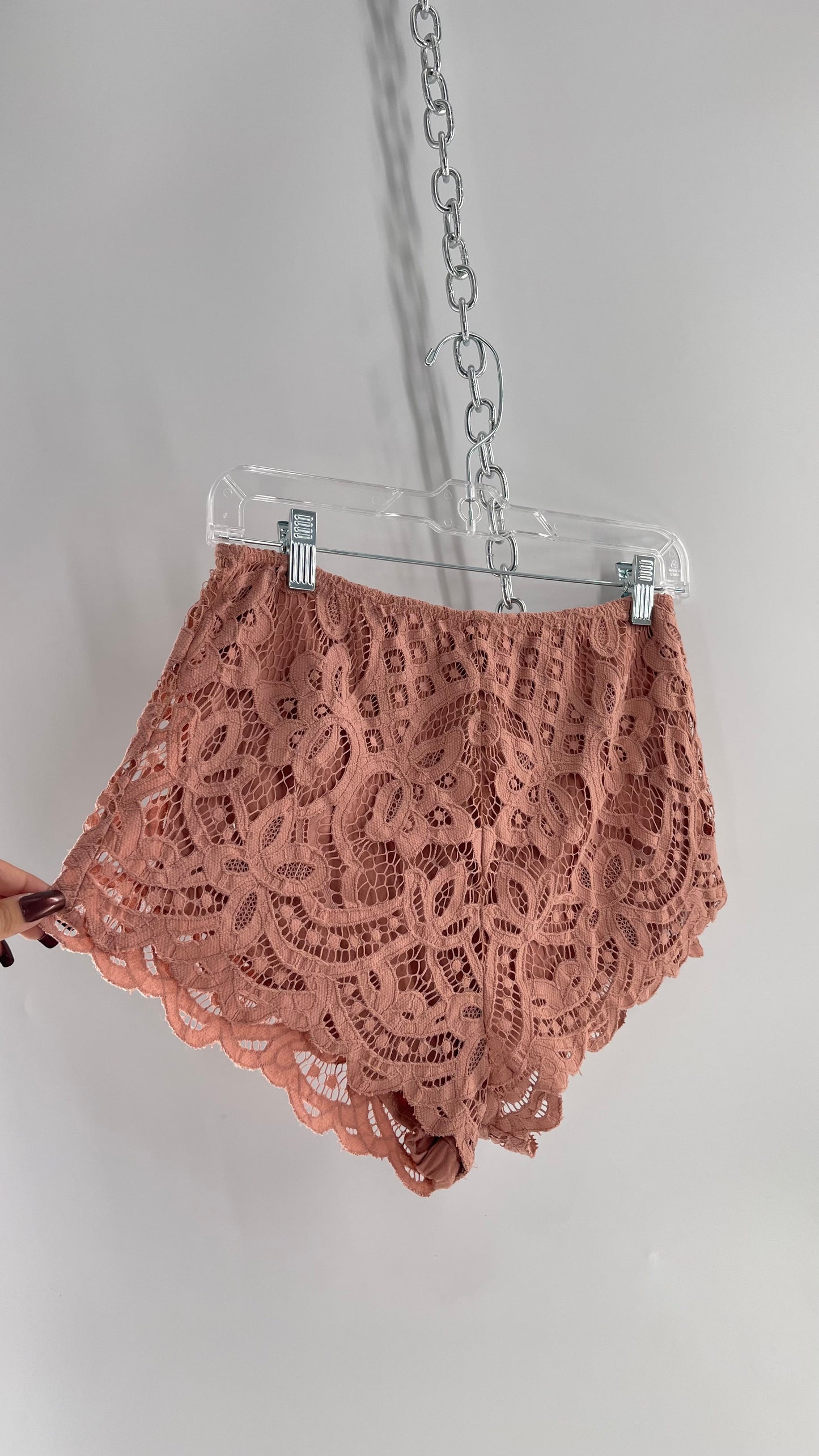 Intimately Free People Dusty Pink Lace Shorts (Small)