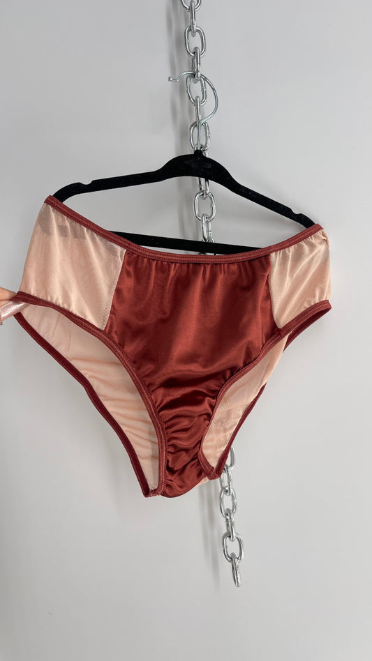 Urban Outfitters Out from Under Silky Mesh High Waisted Panty NWOT (Small)