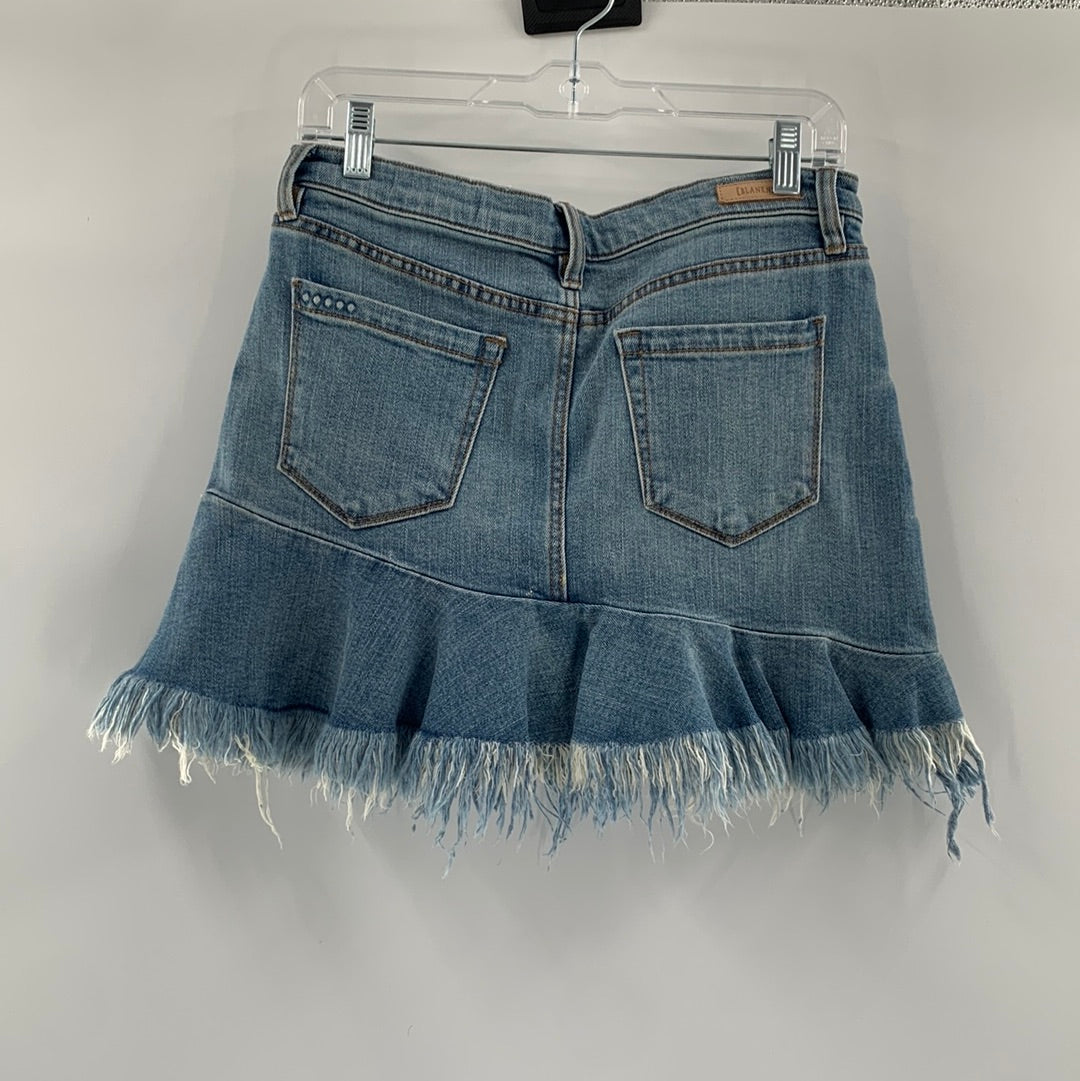 Blank NYC Denim Skirt (Sz 27)
