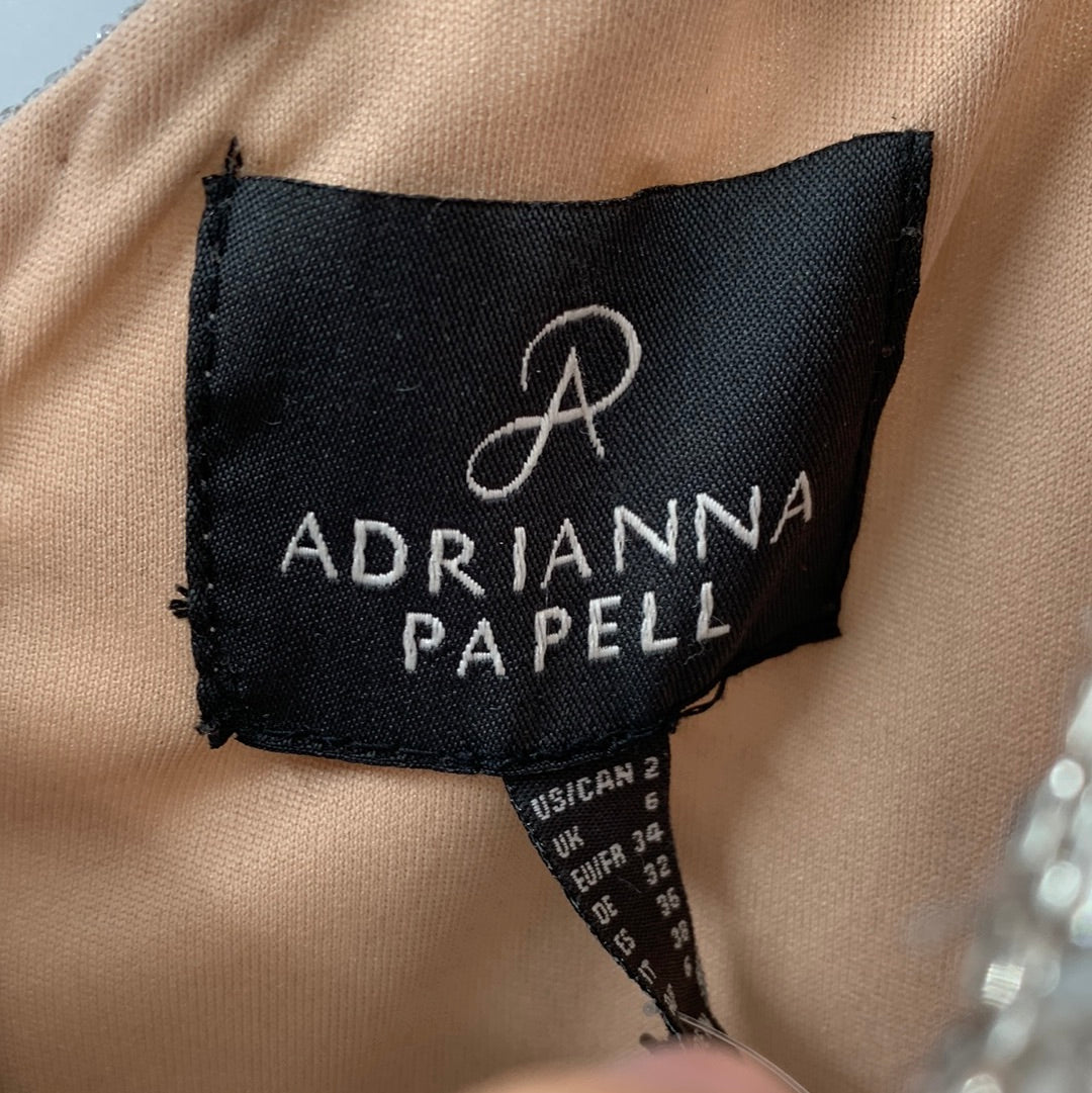 Adrianna Papell Embellished Dress (2)