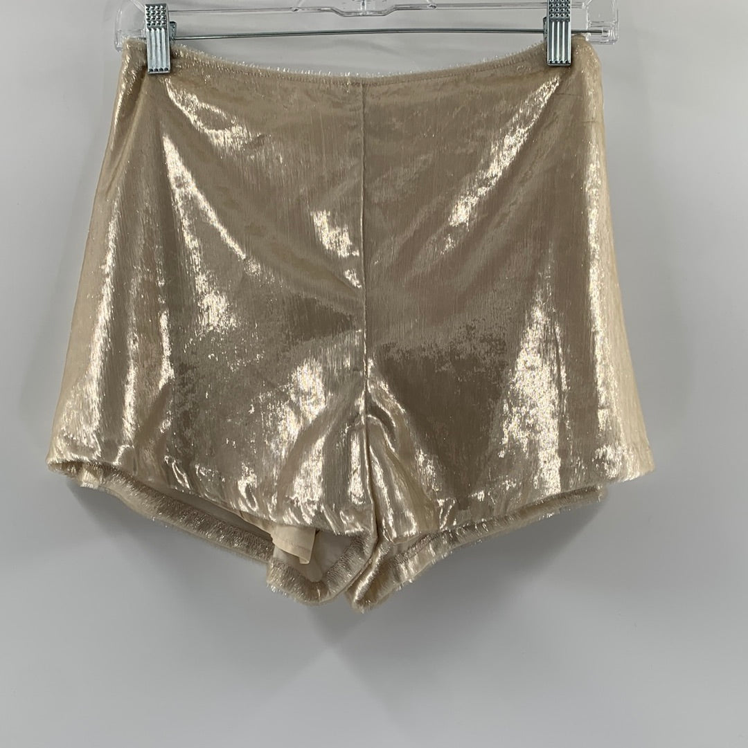 Urban Outfitters Liquid Metal Champagne Shorts ( Size 0)