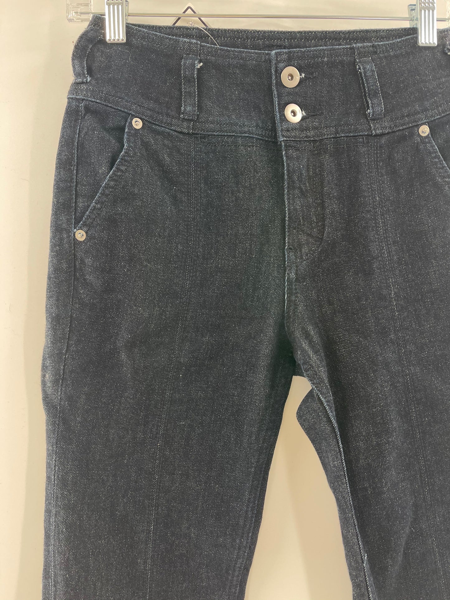 Anthropologie Pilcro (size 25)