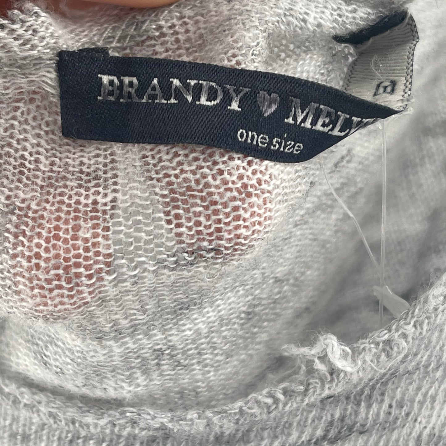 Brandy Melville Light Gray Short Sleeve Top( One Size)