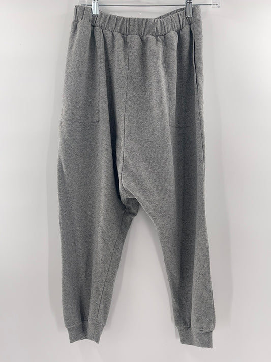 Grey Free People Elastic Beach Pants / sweats