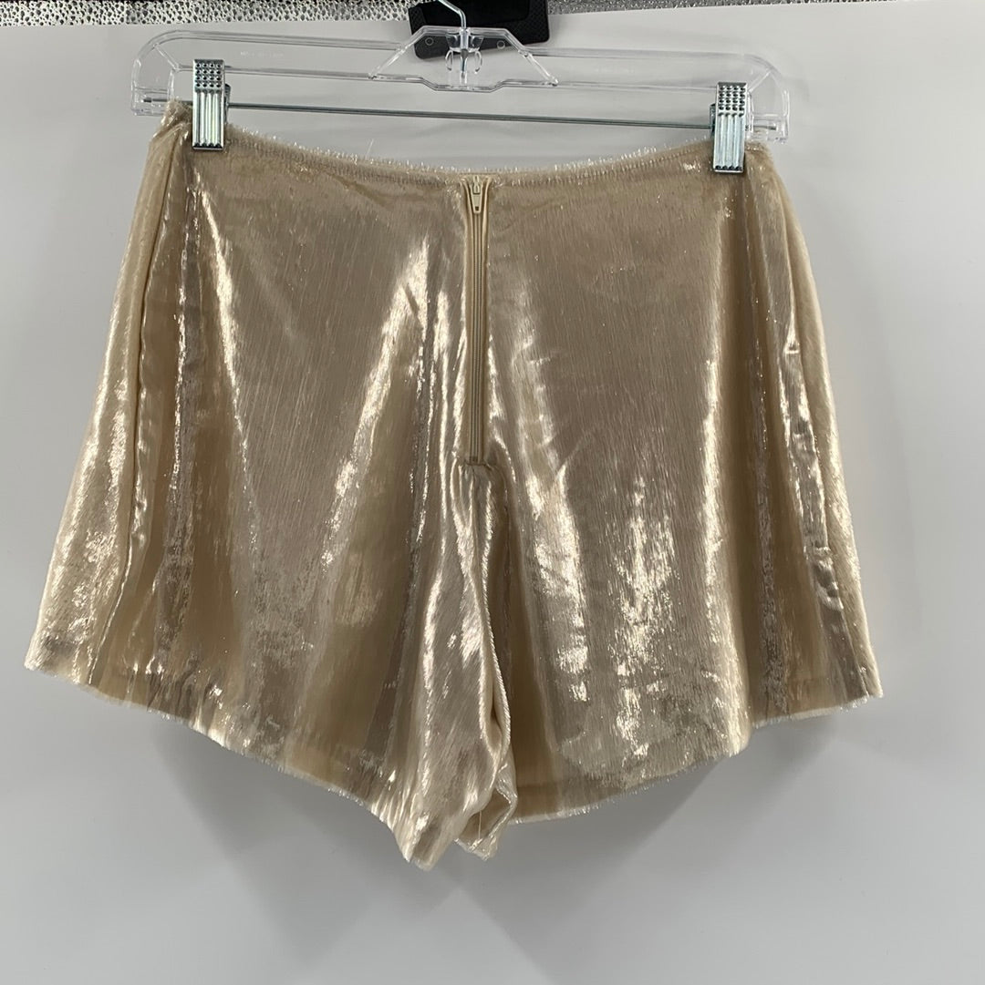 Urban Outfitters Liquid Metal Champagne Shorts ( Size 0)