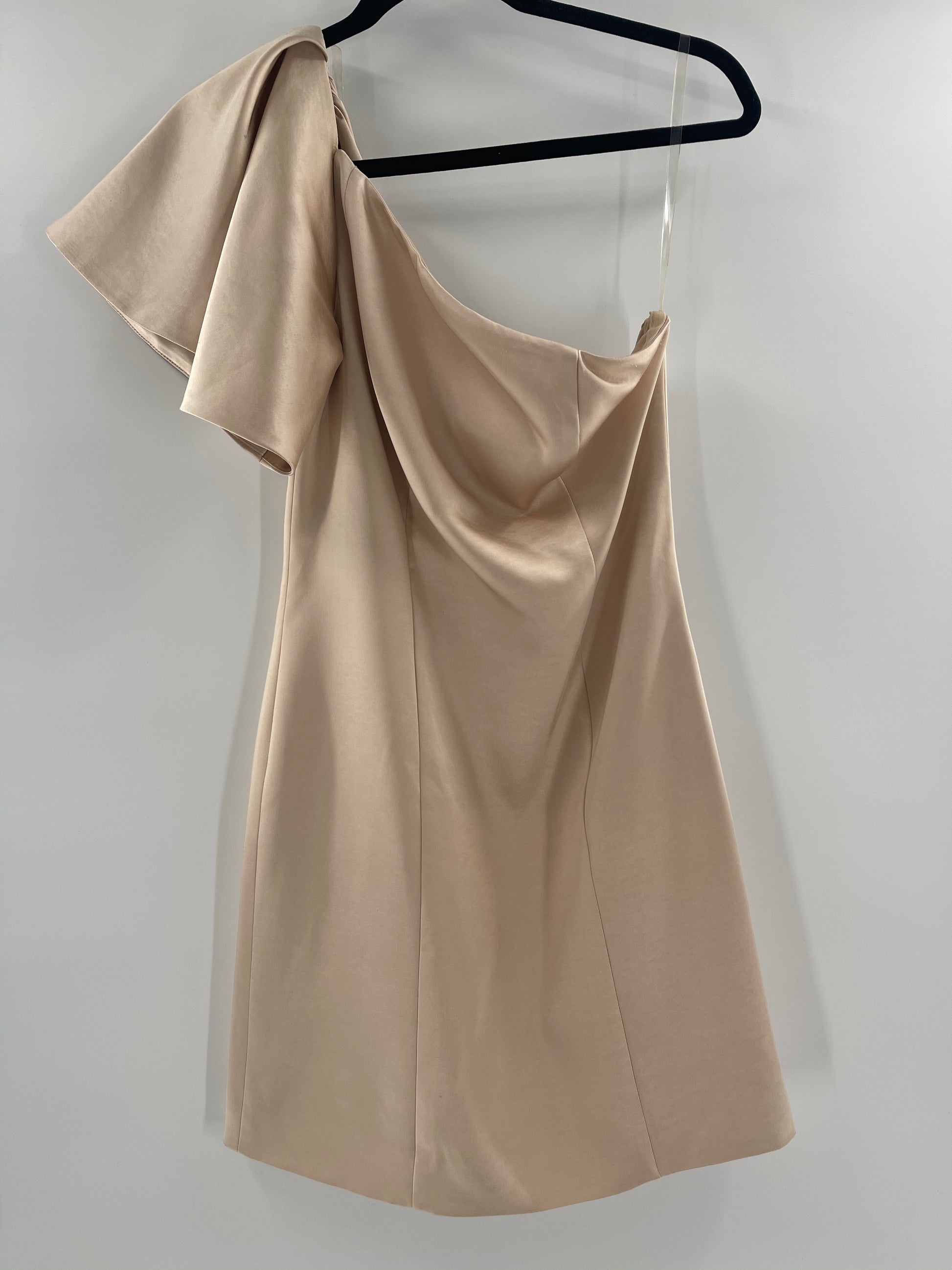 Fame and Partners X Free People Champagne Dress (4) Fame and Partners X Free People Champagne Dress (4)