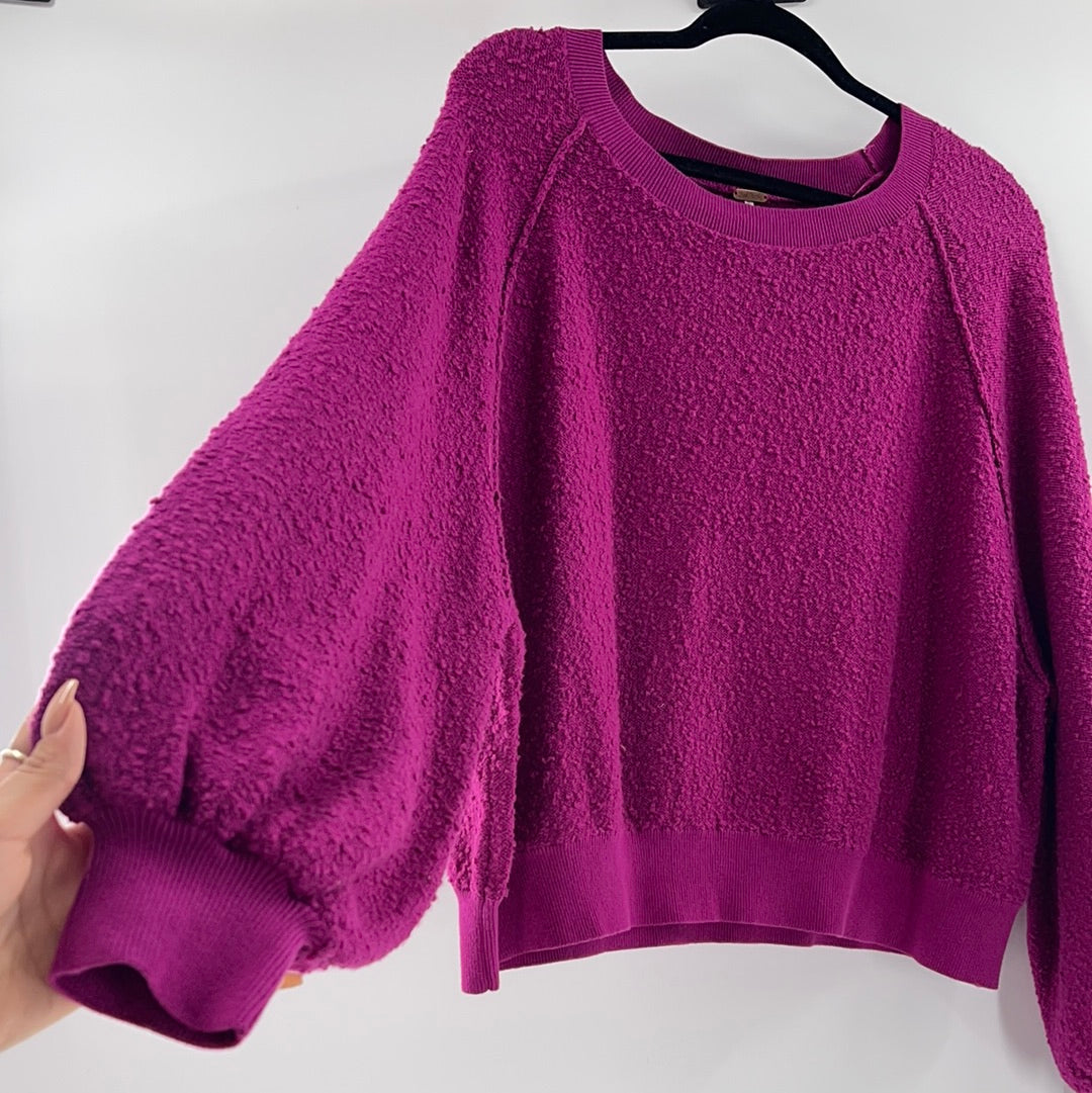 Free deals People 100% Cashmere Purple Crop Crewneck Sweater Small