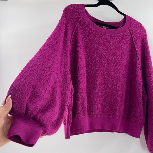 Free People Fuchsia Cropped Sweater (Size Small)